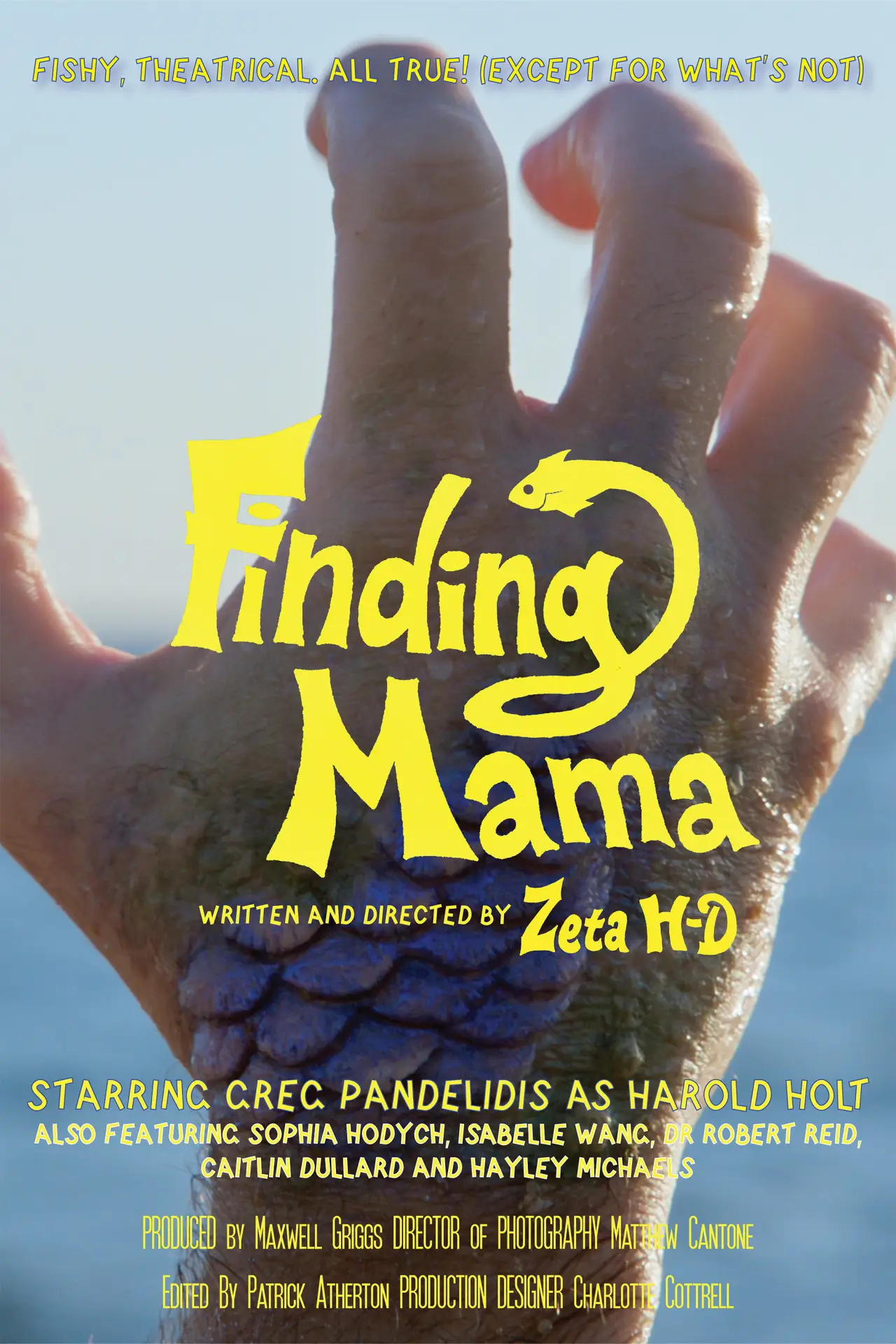 Movie poster "Finding Mama"
