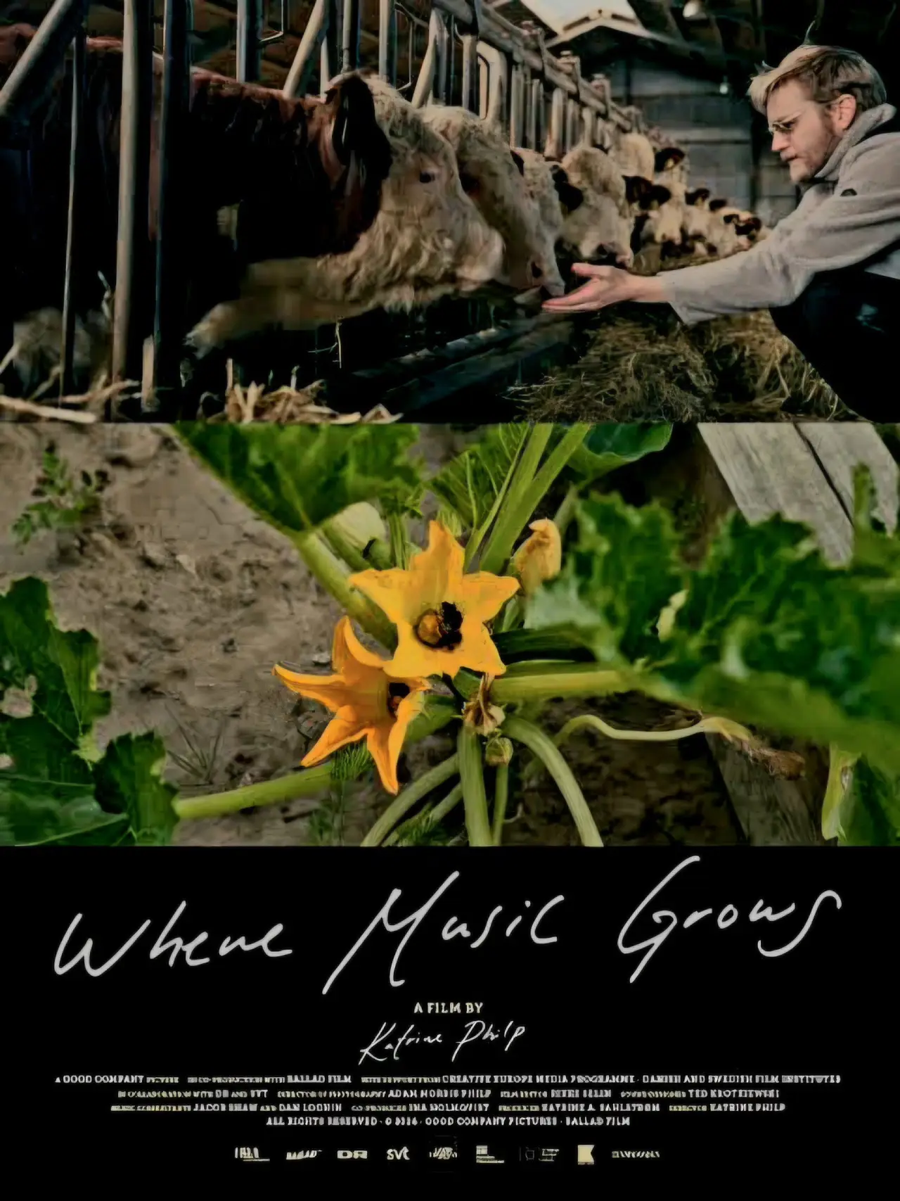 Movie poster "Where Music Grows"