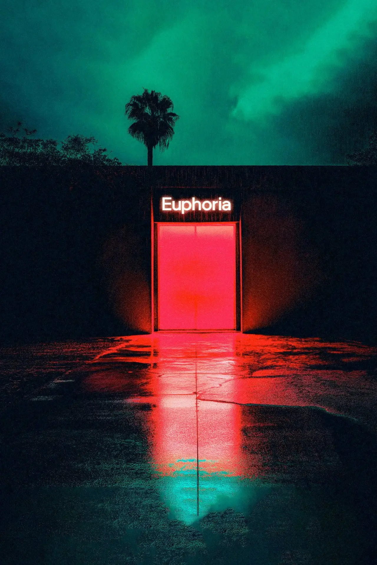 Movie poster "Schiller - Euphoria"