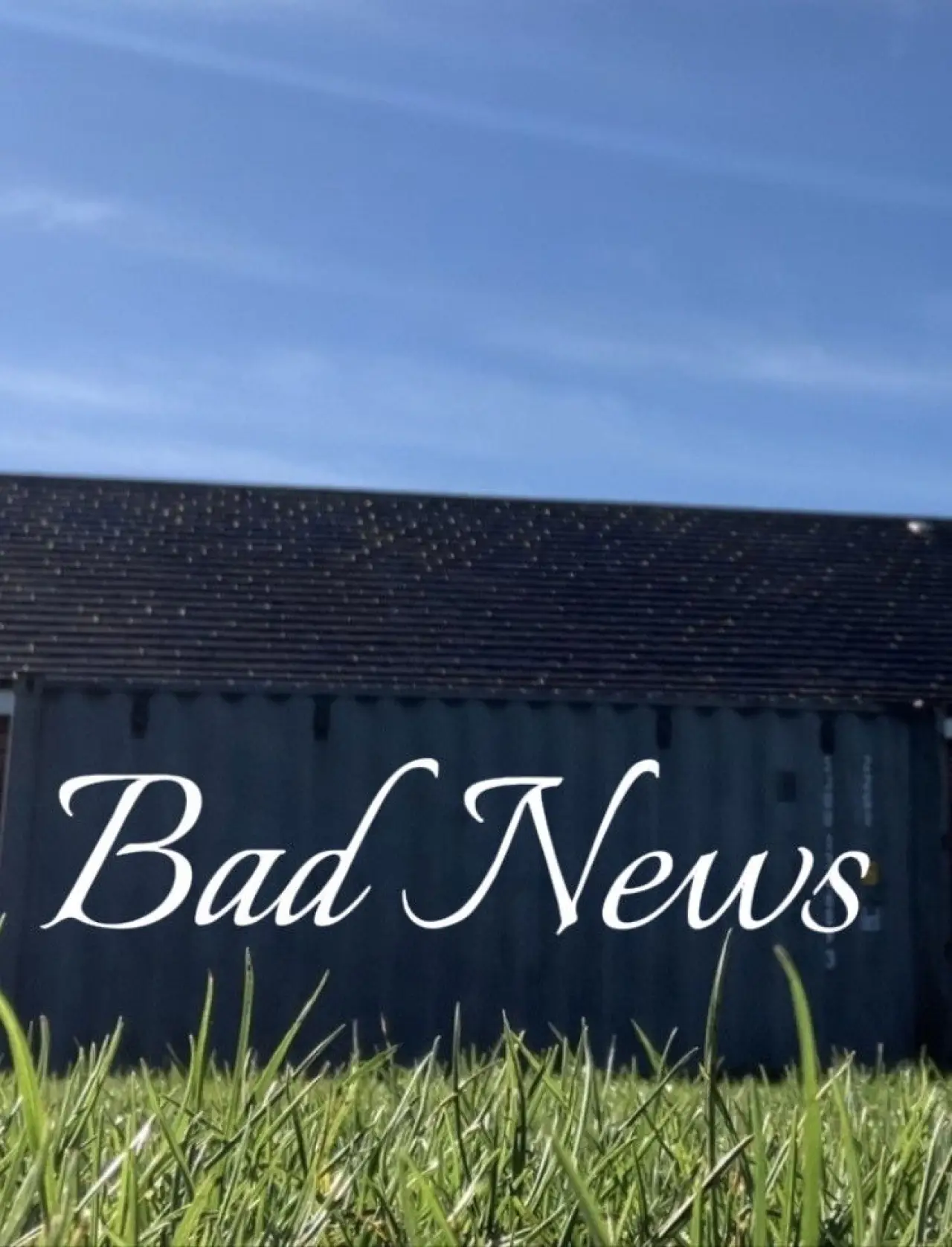 Movie poster ""Bad News""