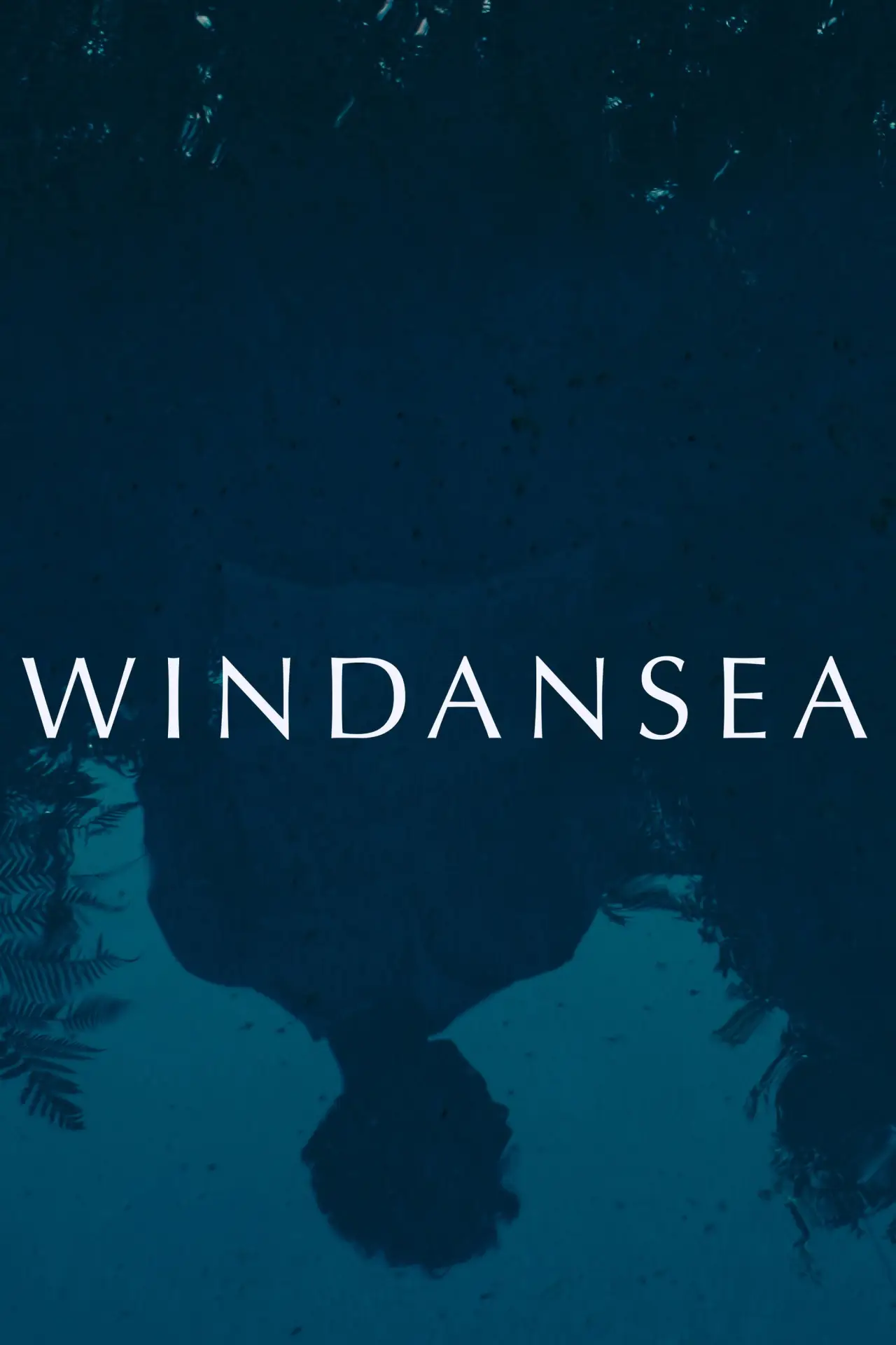 Movie poster "Windansea"