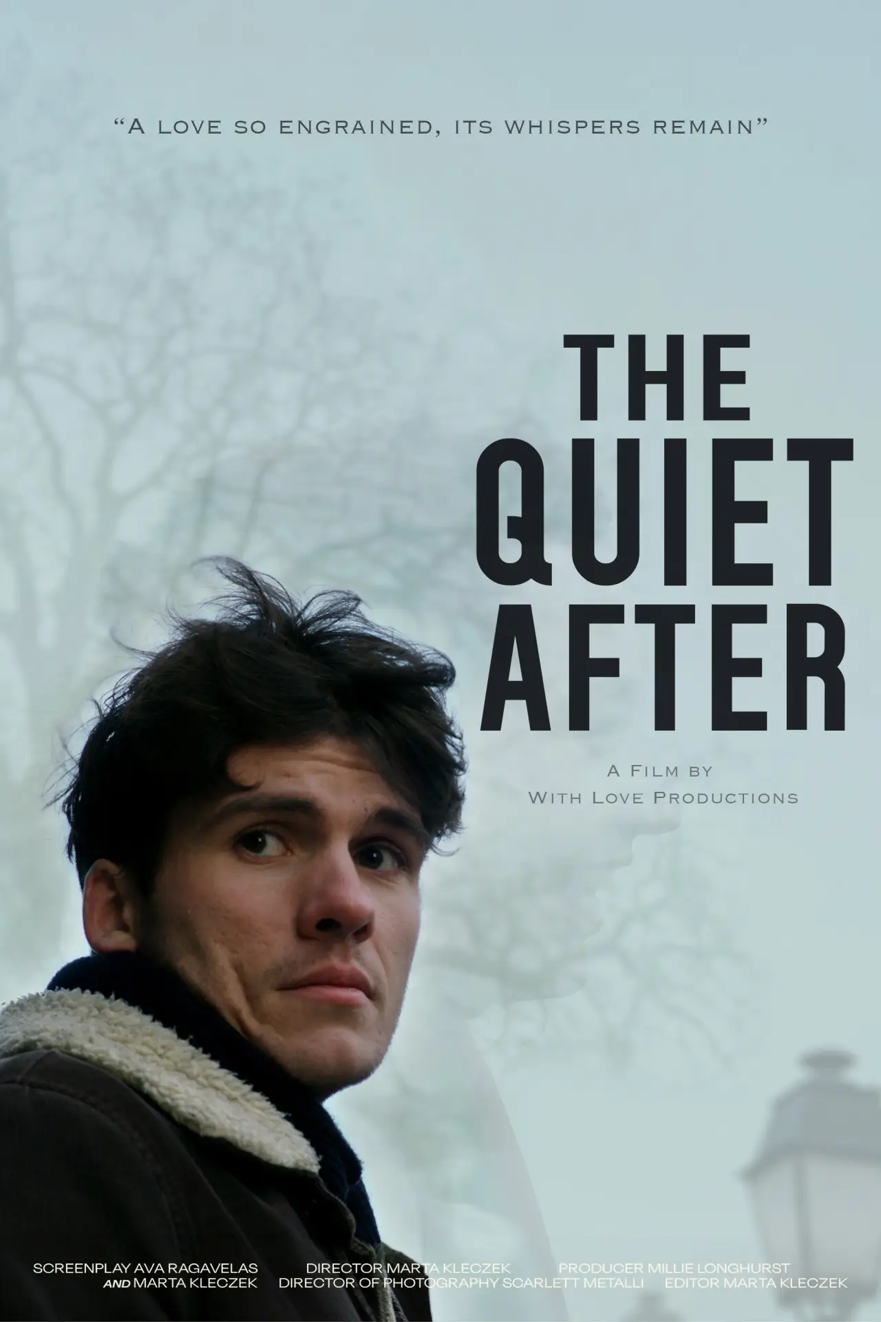 Movie poster "The Quiet After"