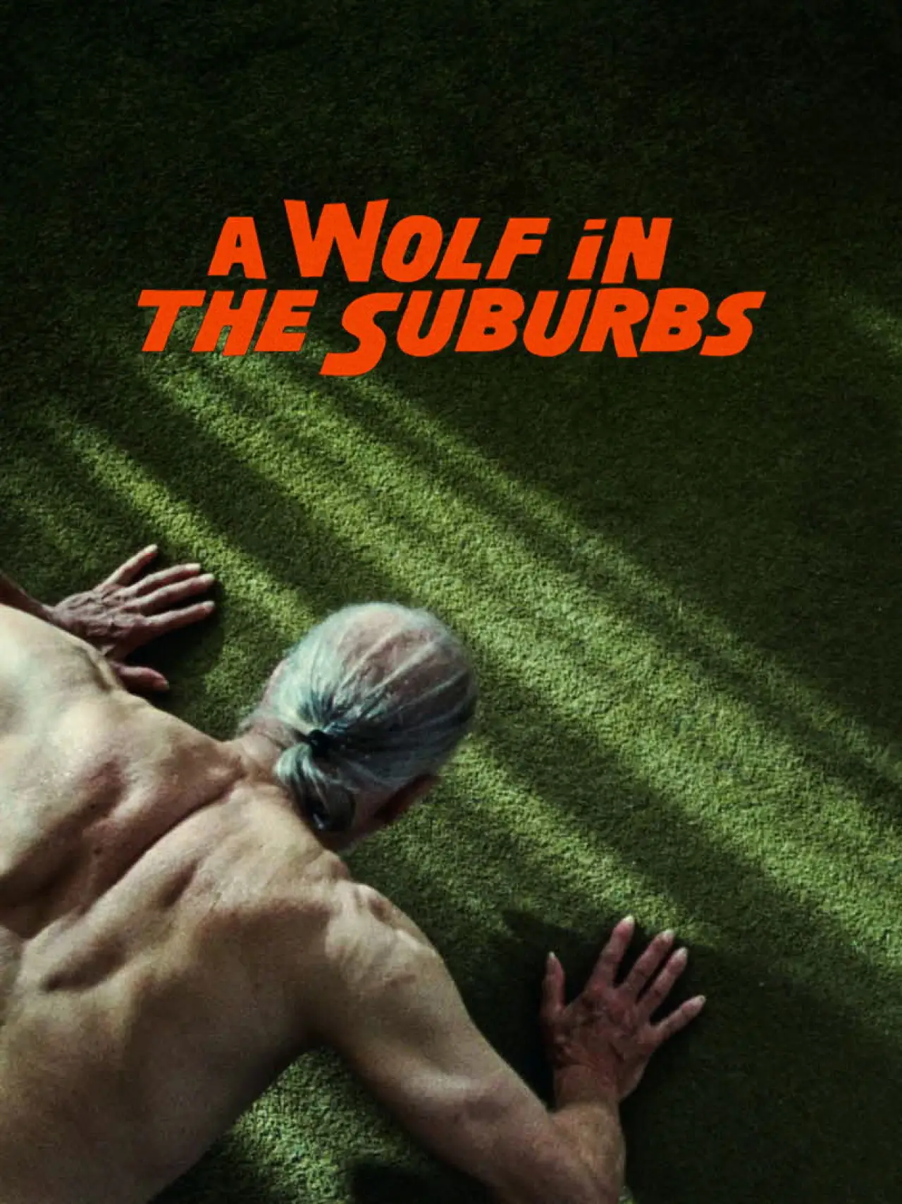 Movie poster "A Wolf in the Suburbs"