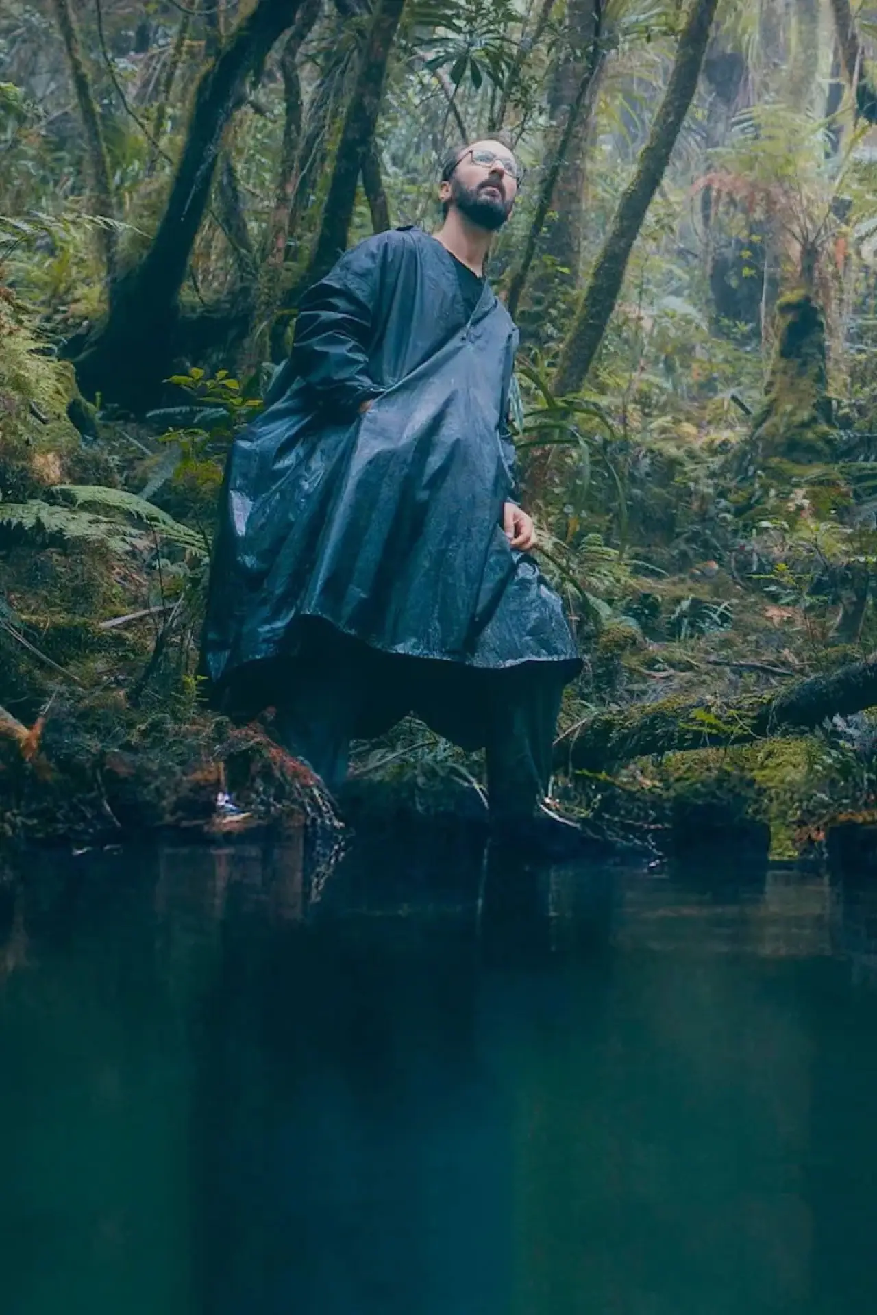 Movie poster "La forêt d