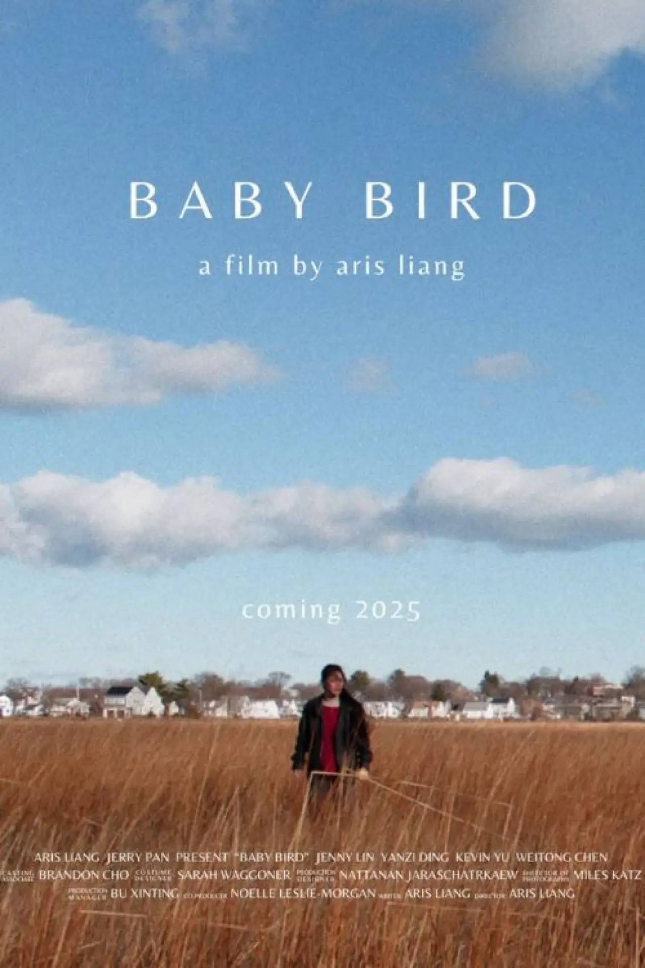 Movie poster "Baby Bird"