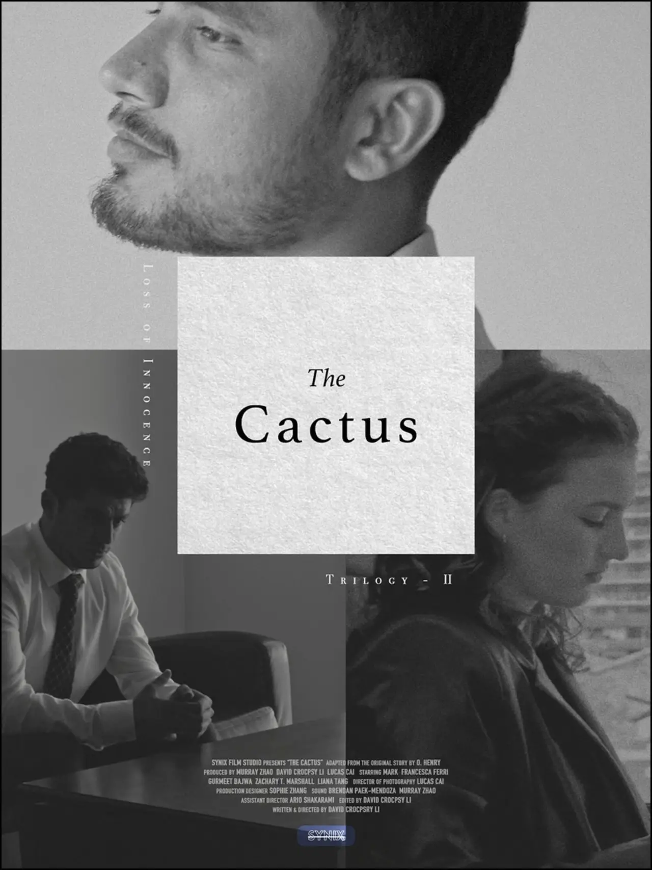 Movie poster "The Cactus"