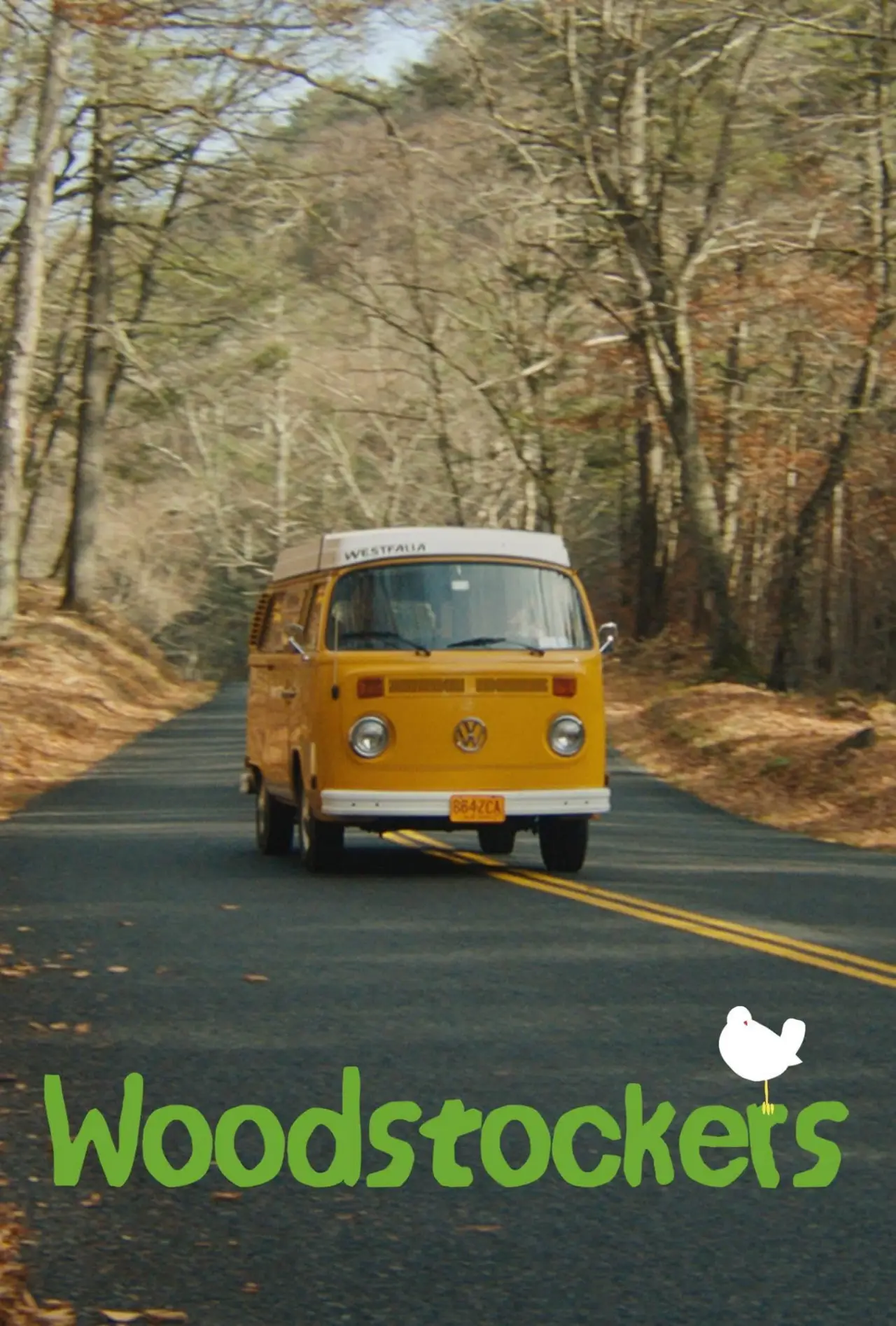 Movie poster "Woodstockers"