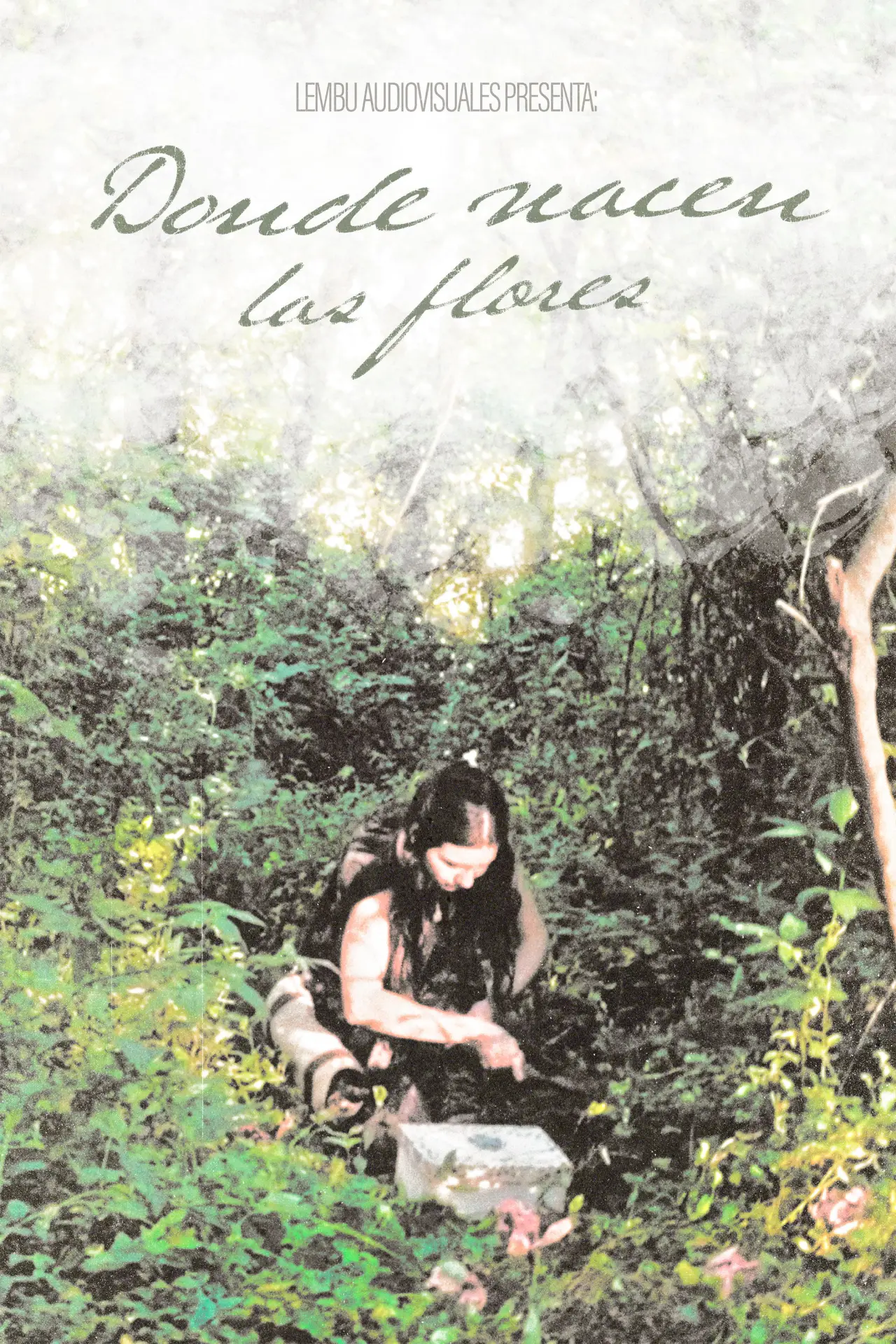 Movie poster "Donde Nacen Las Flores"