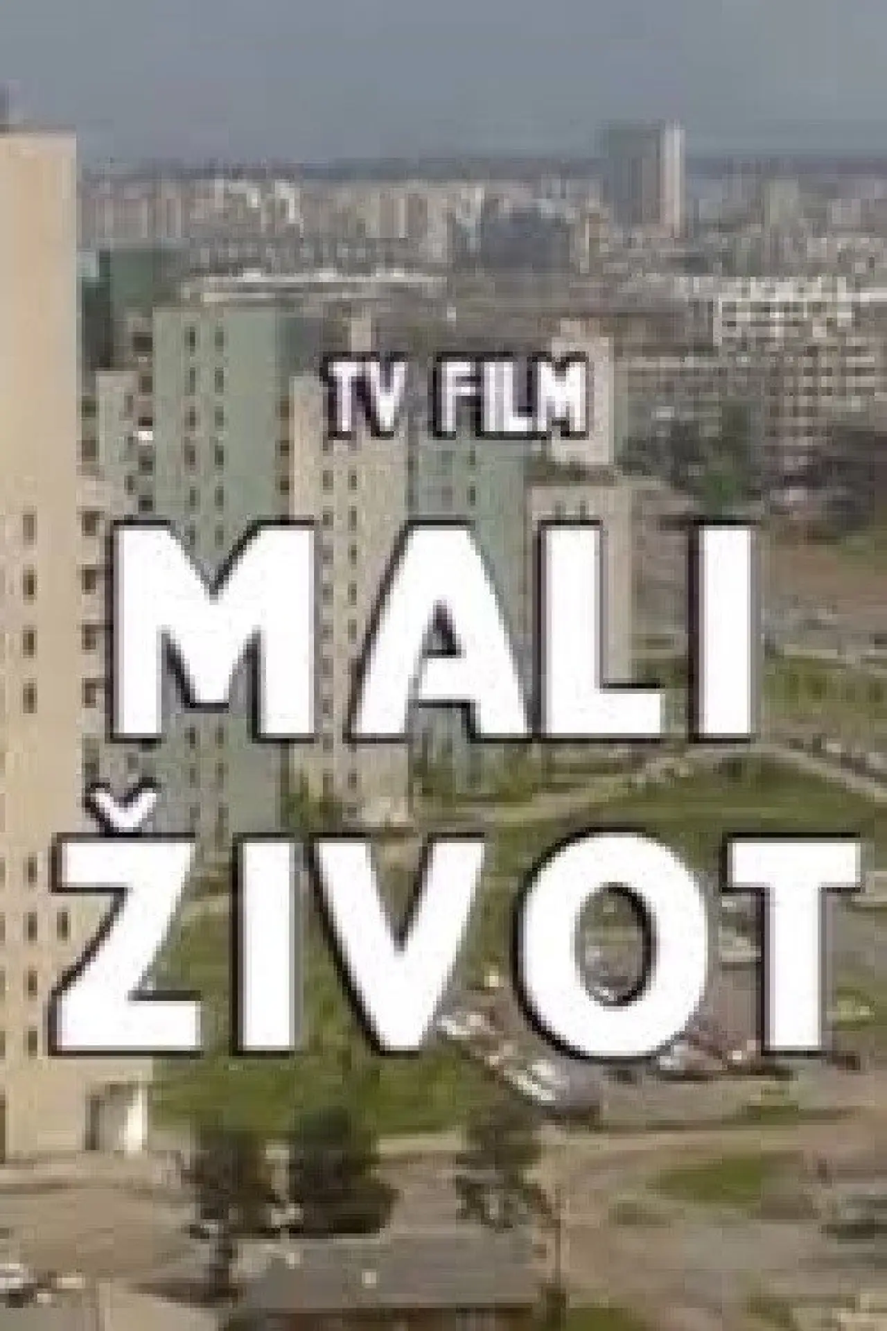 Movie poster "Small Life"