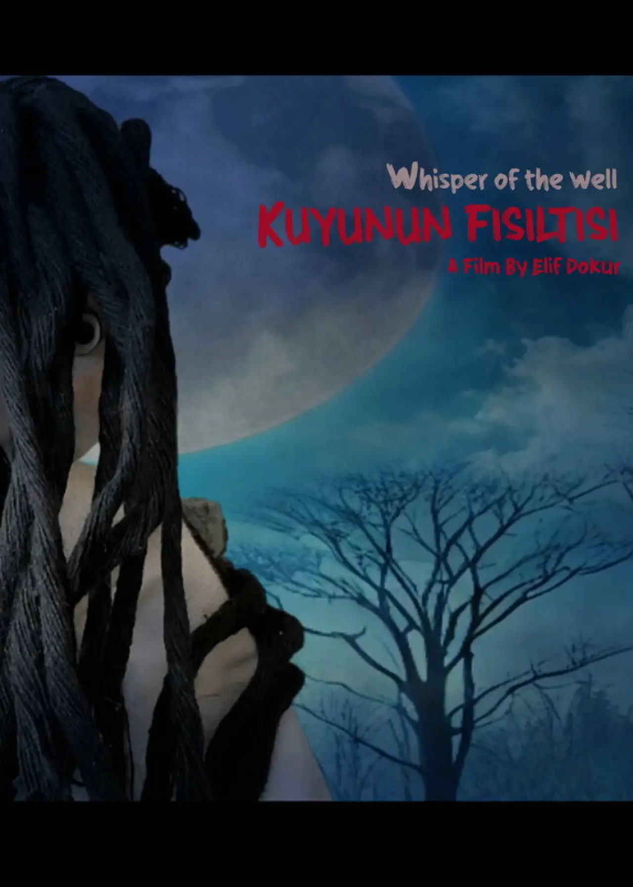 Movie poster "Whisper of the Well"