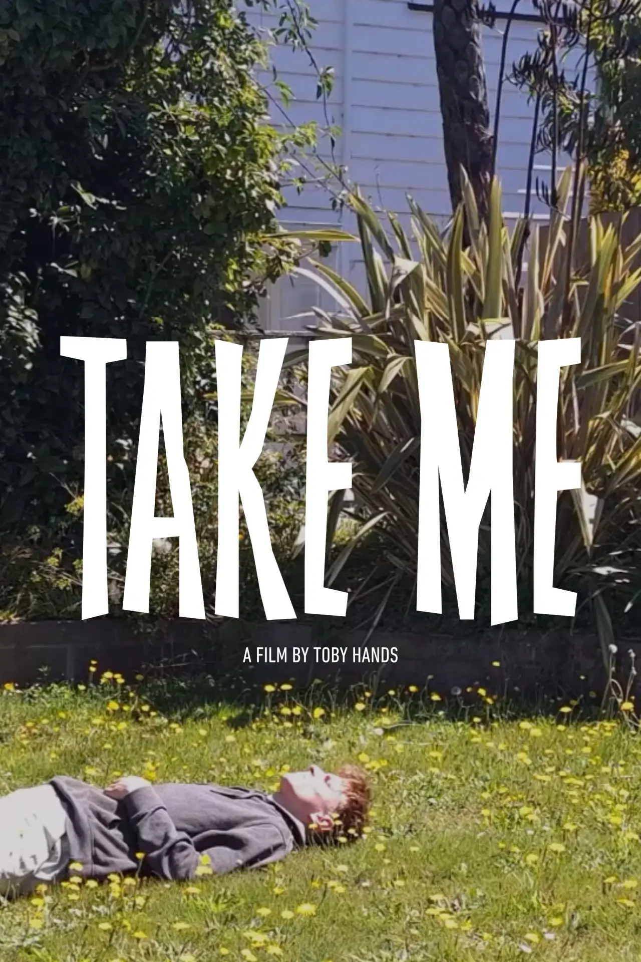 Movie poster "Take Me"