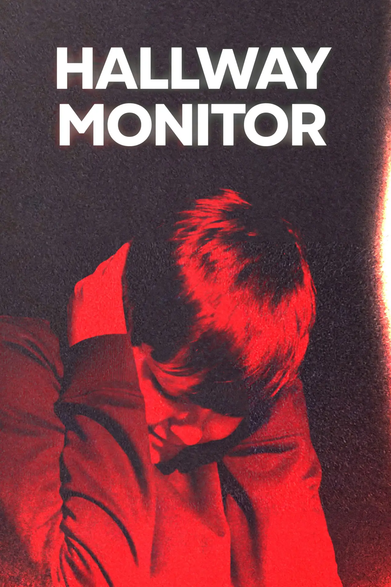 Movie poster "Hallway Monitor"
