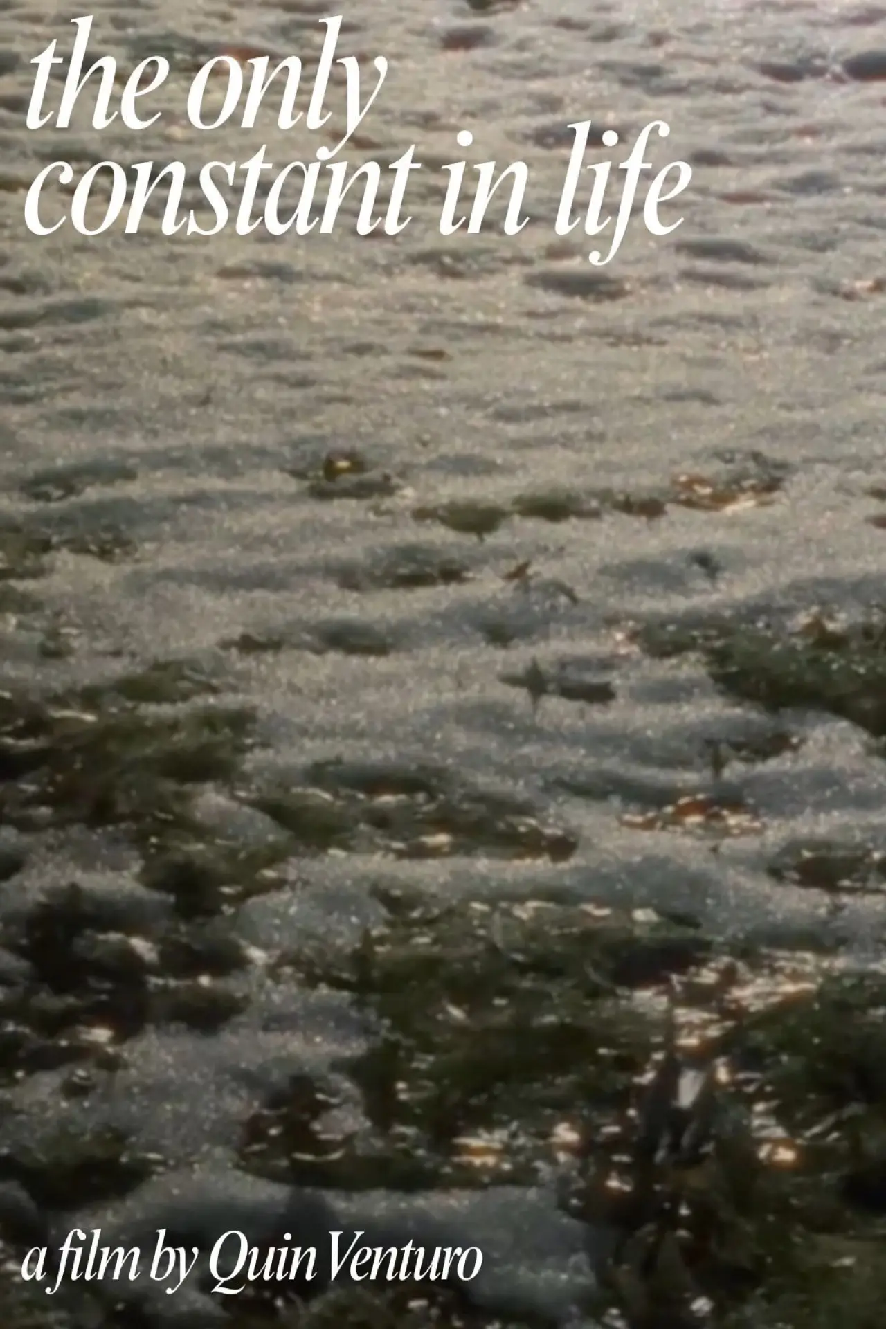Movie poster "The Only Constant In Life"