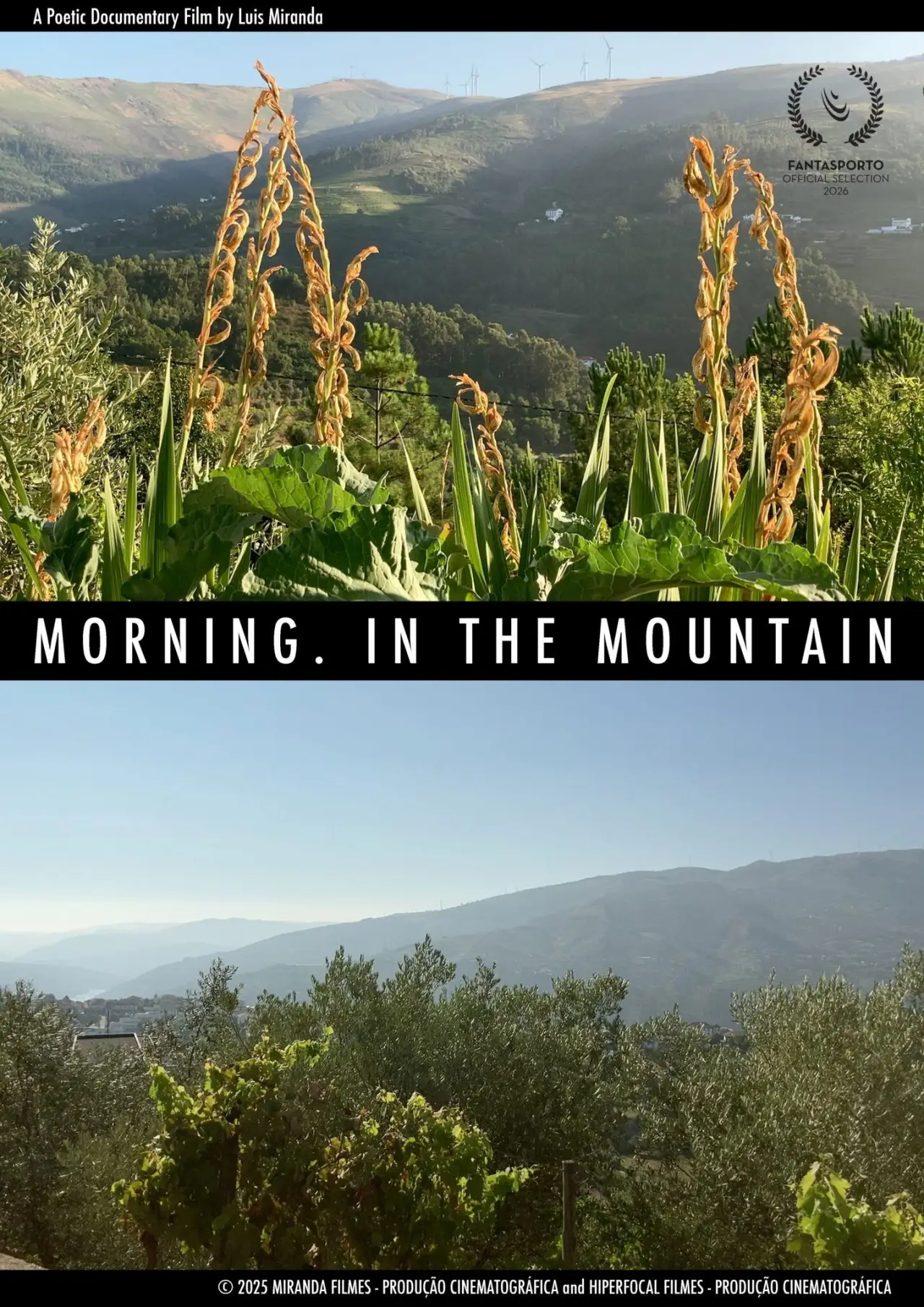 Movie poster "Morning, in the Mountains"