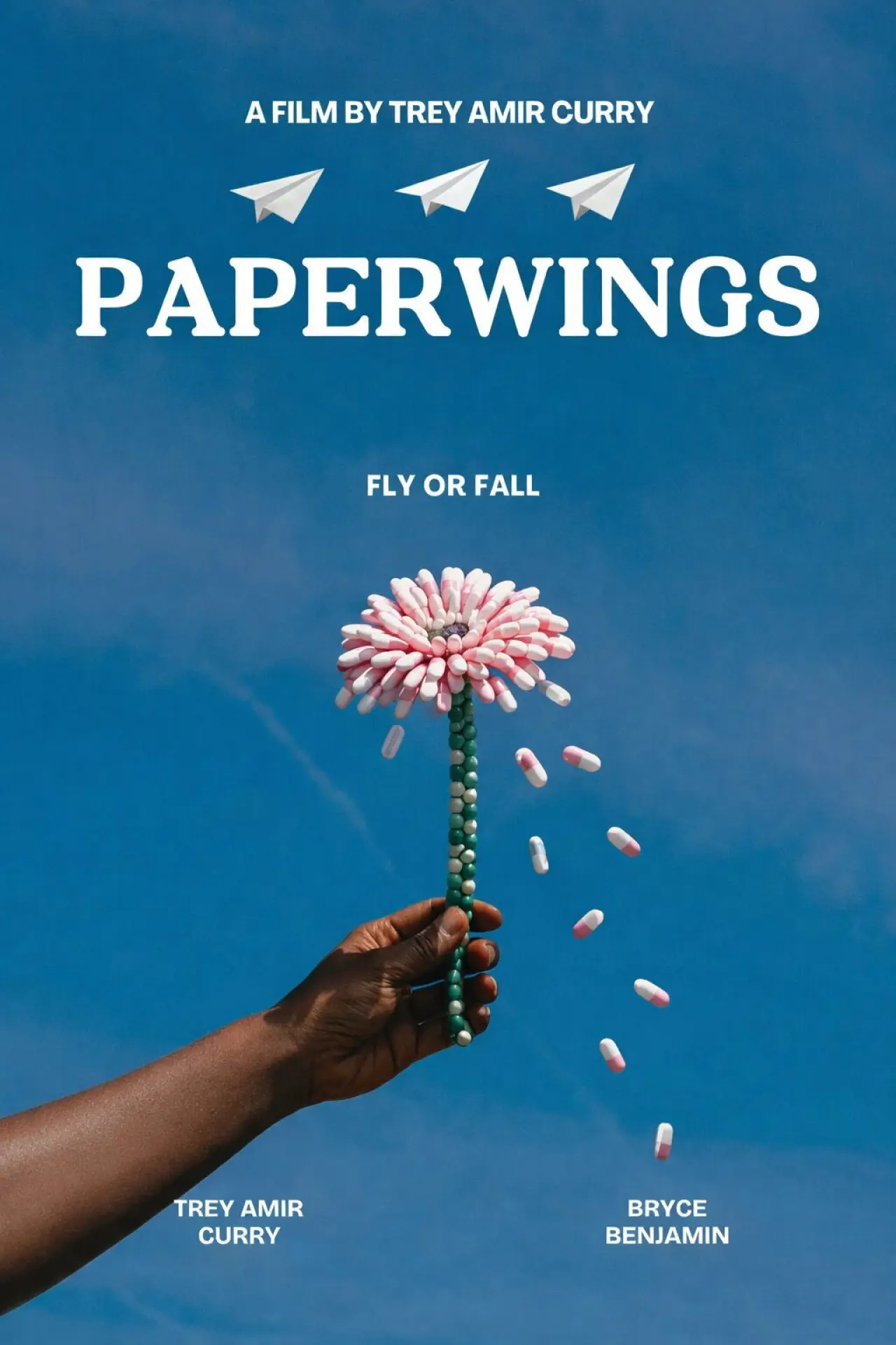 Movie poster "PAPERWINGS"