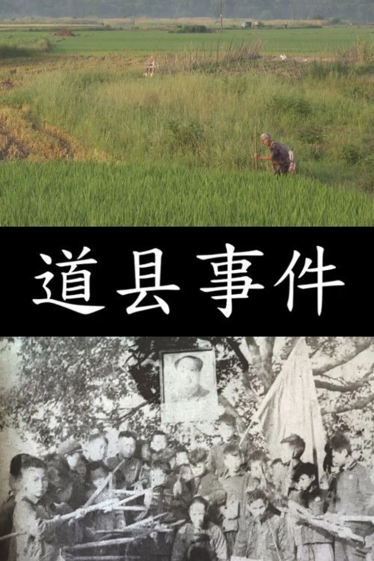 Movie poster "The Daoxian Incident"