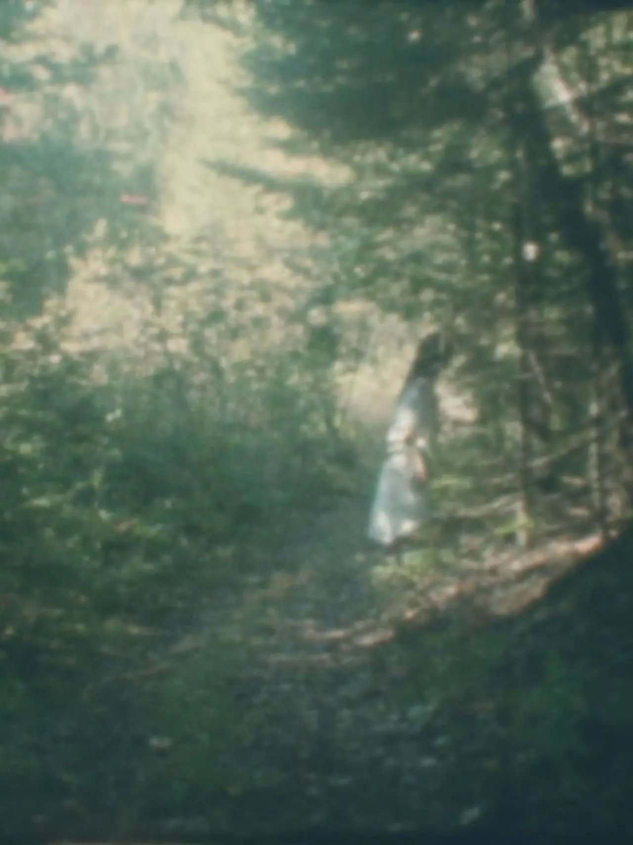 Movie poster "To the Forest"
