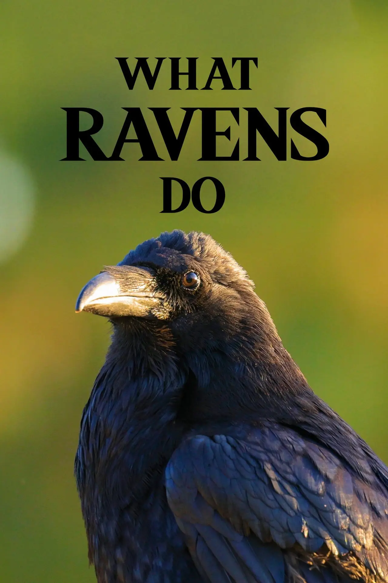 Movie poster "What Ravens Do"