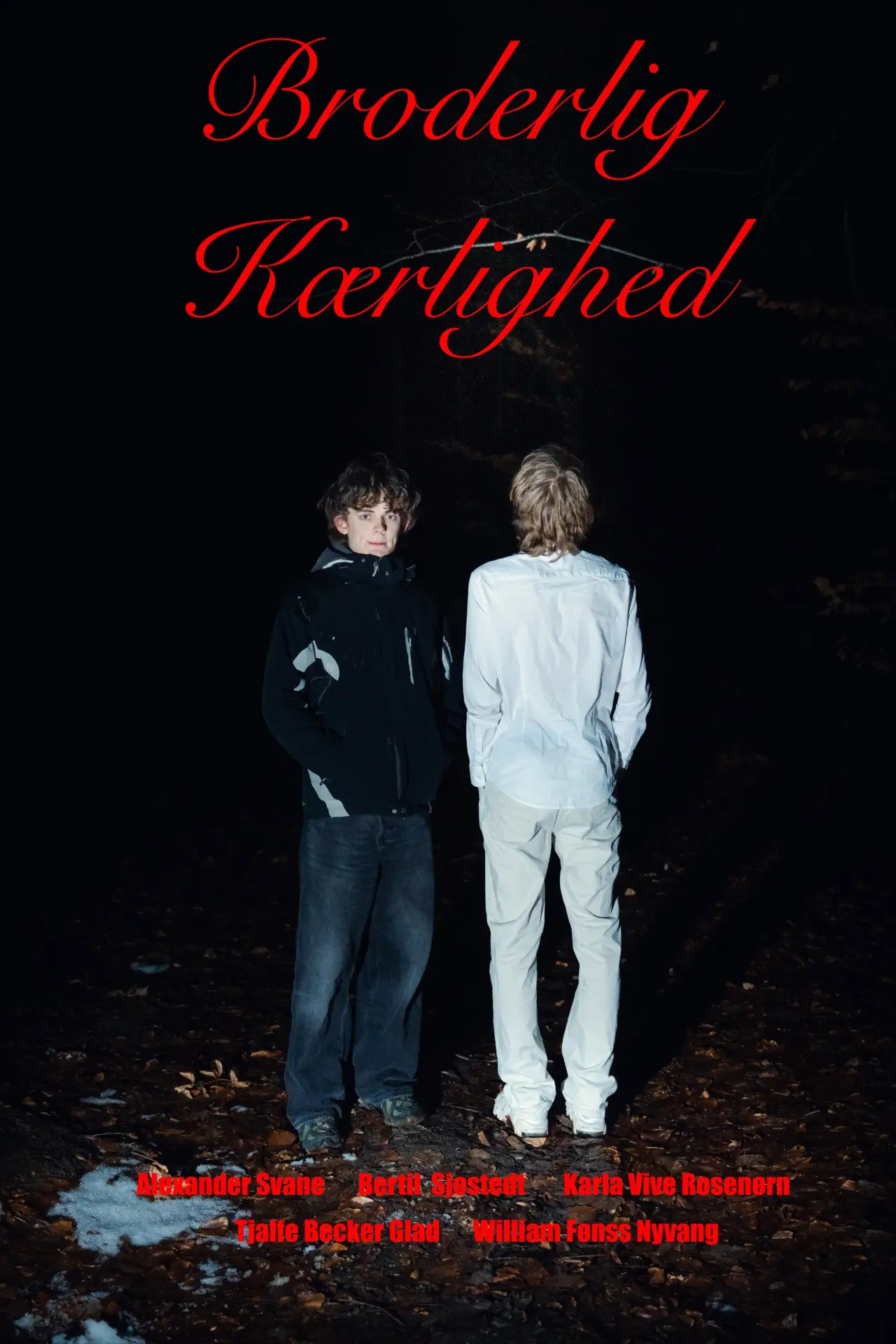 Movie poster "Broderlig Kærlighed"