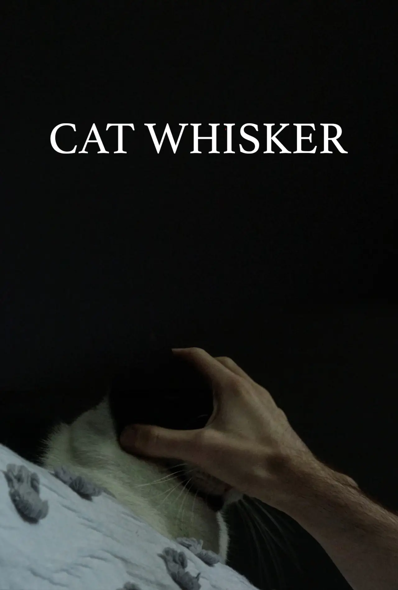 Movie poster "Cat Whisker"