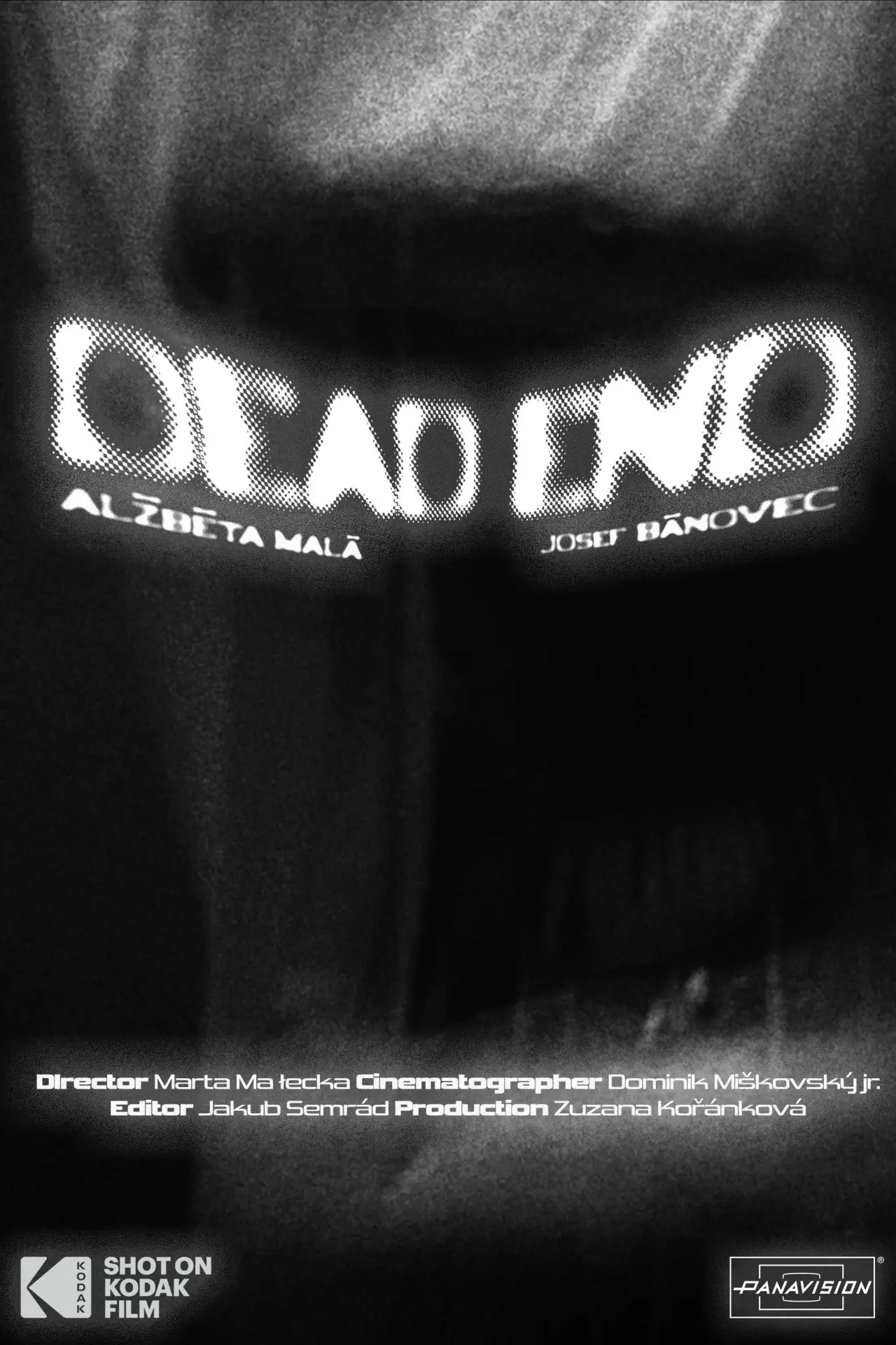 Movie poster "Dead End"