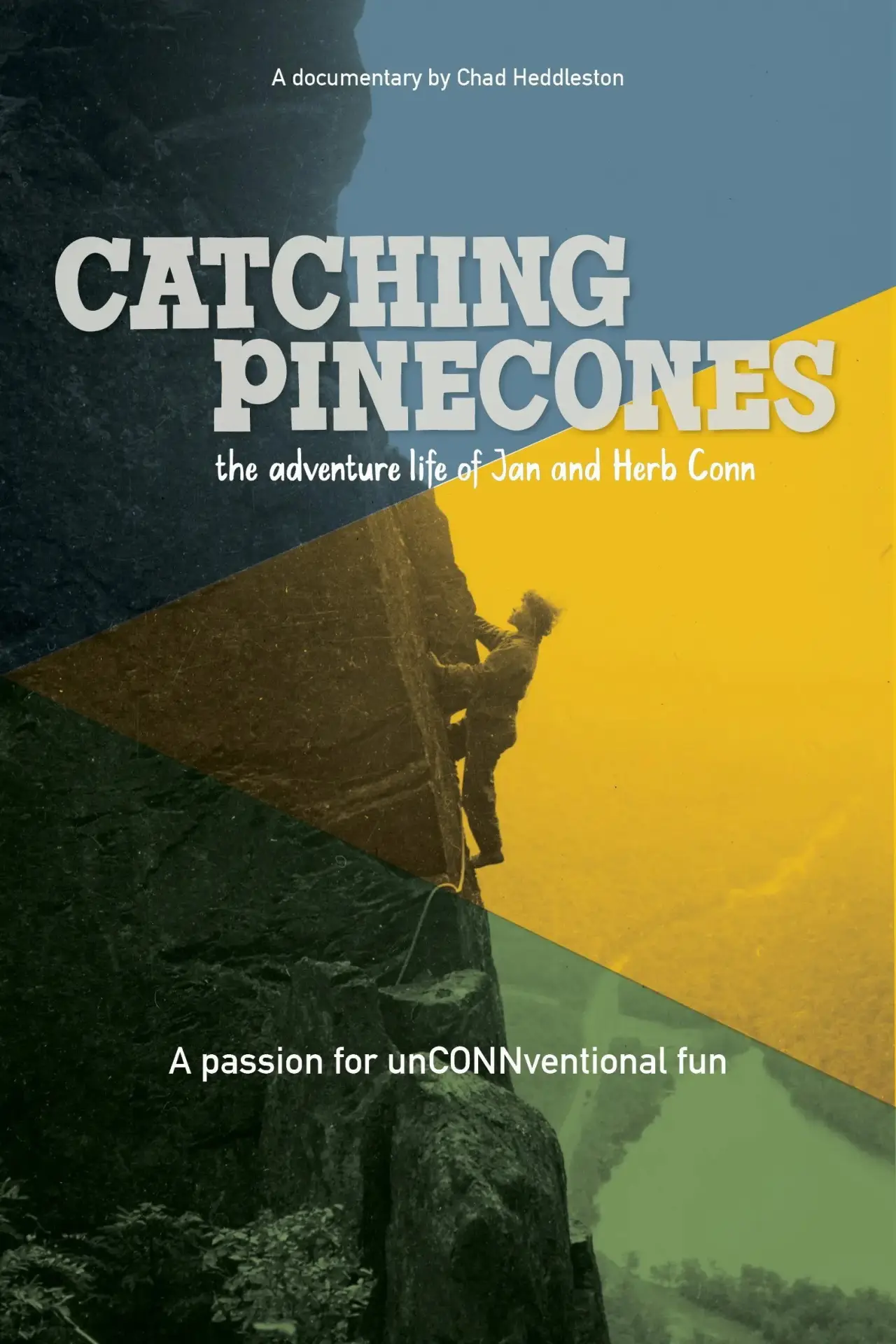 Movie poster "Catching Pinecones"