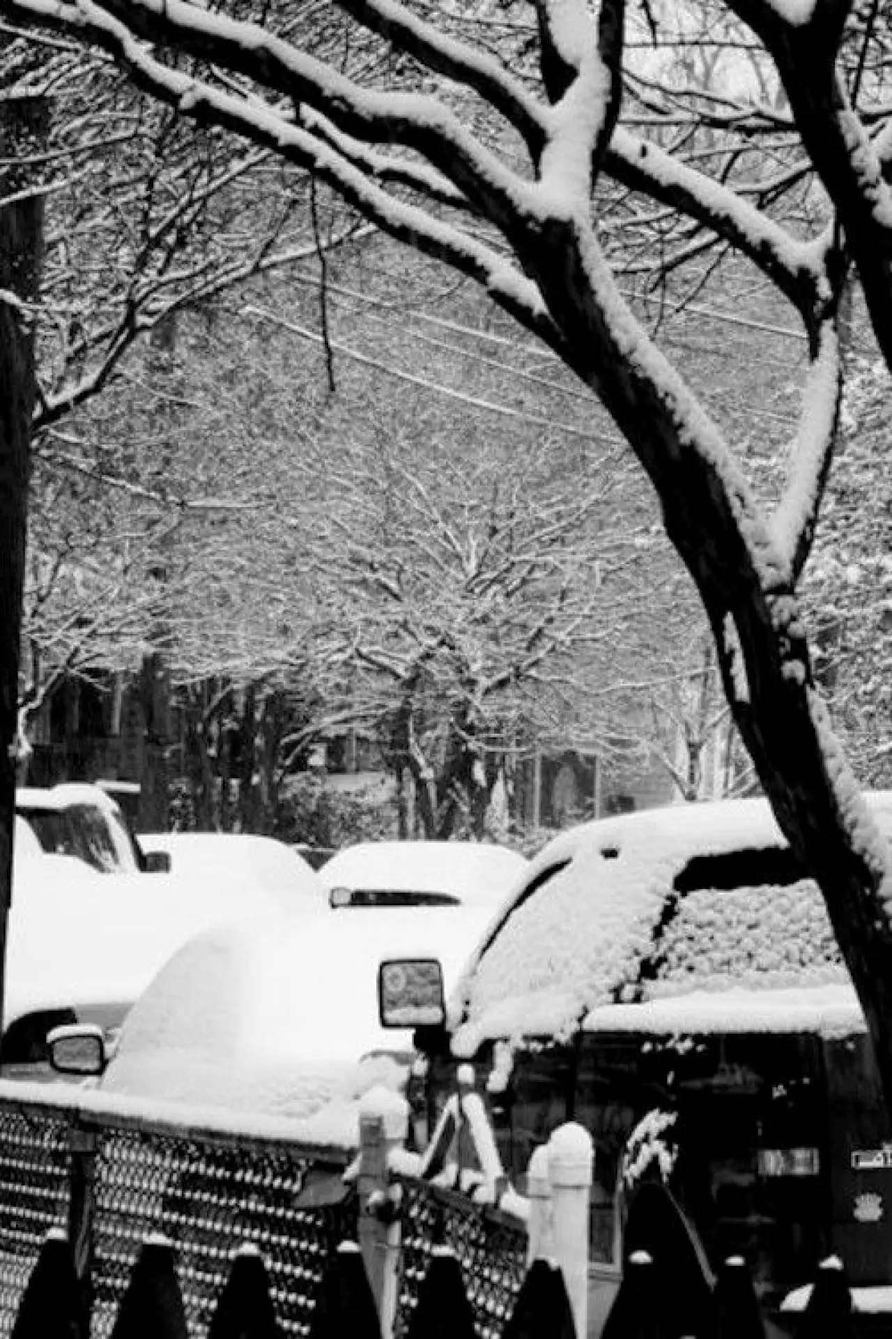 Movie poster "Goodbye, Snoball"