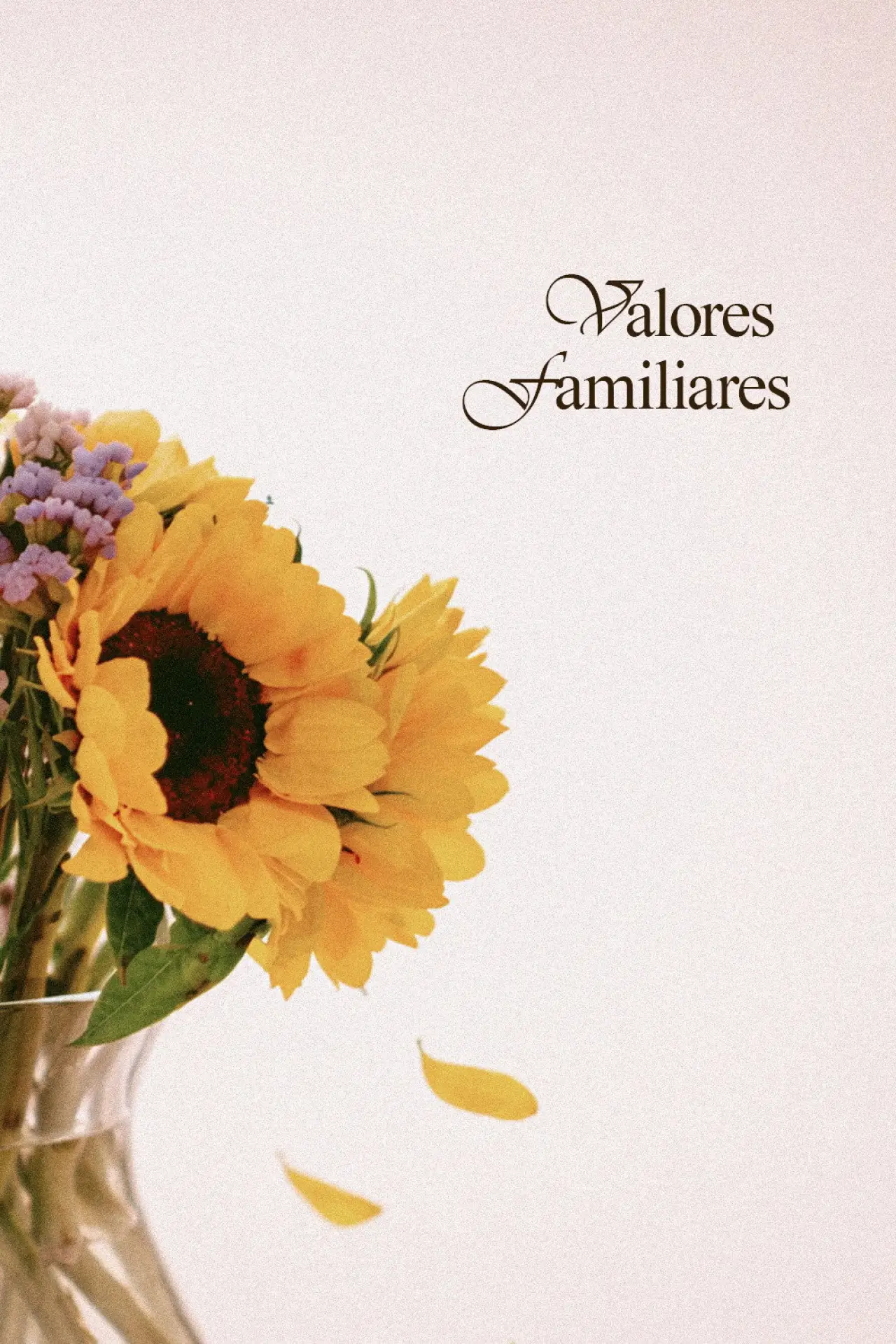 Movie poster "Valores Familiares"