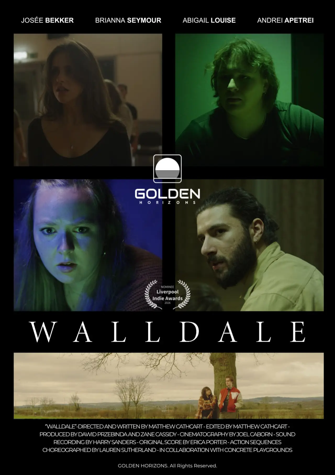 Movie poster "WallDale"