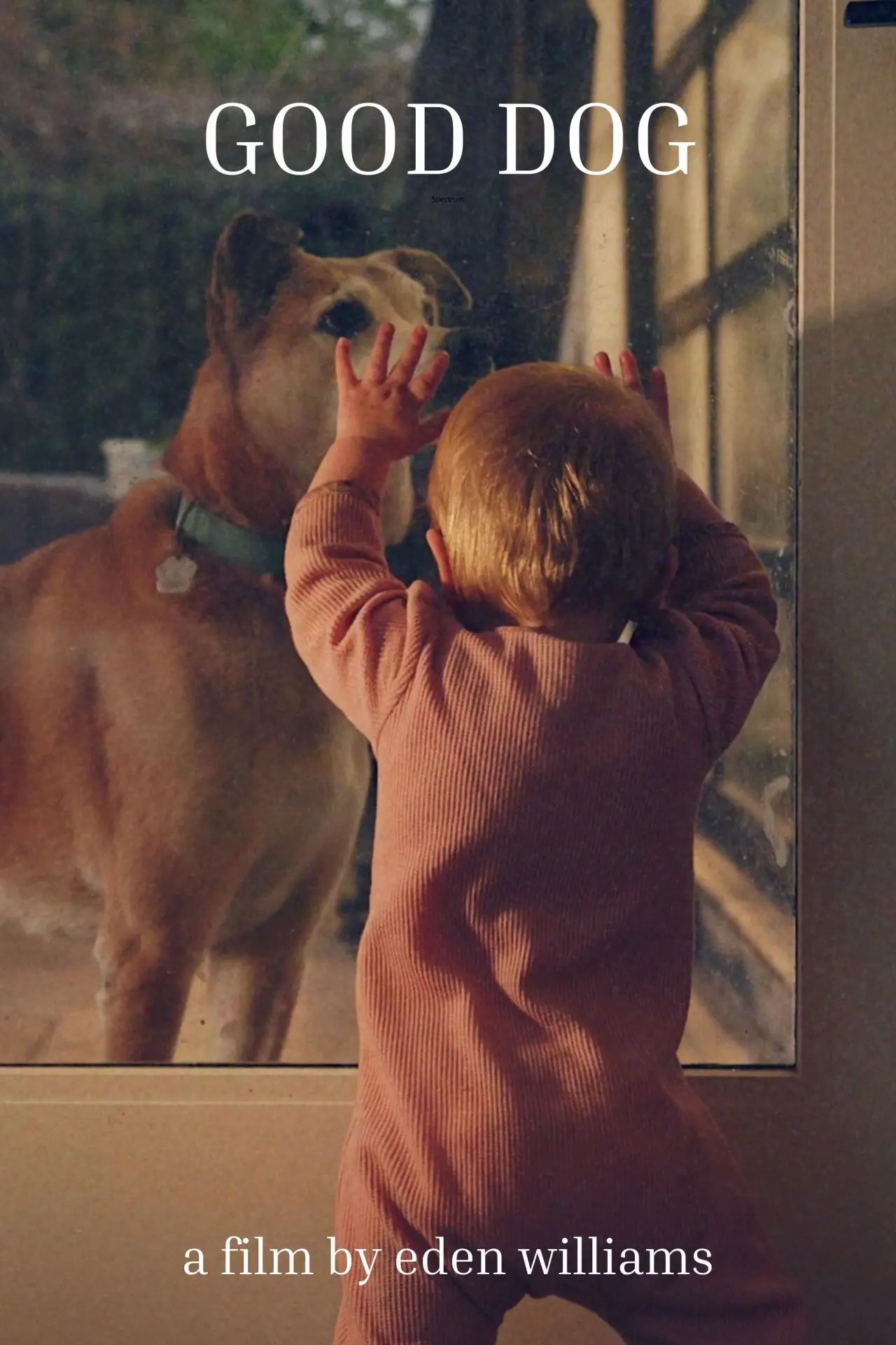Movie poster "Good Dog"