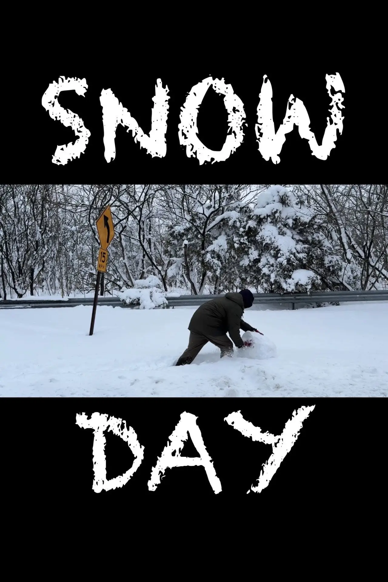 Movie poster "Snowday"