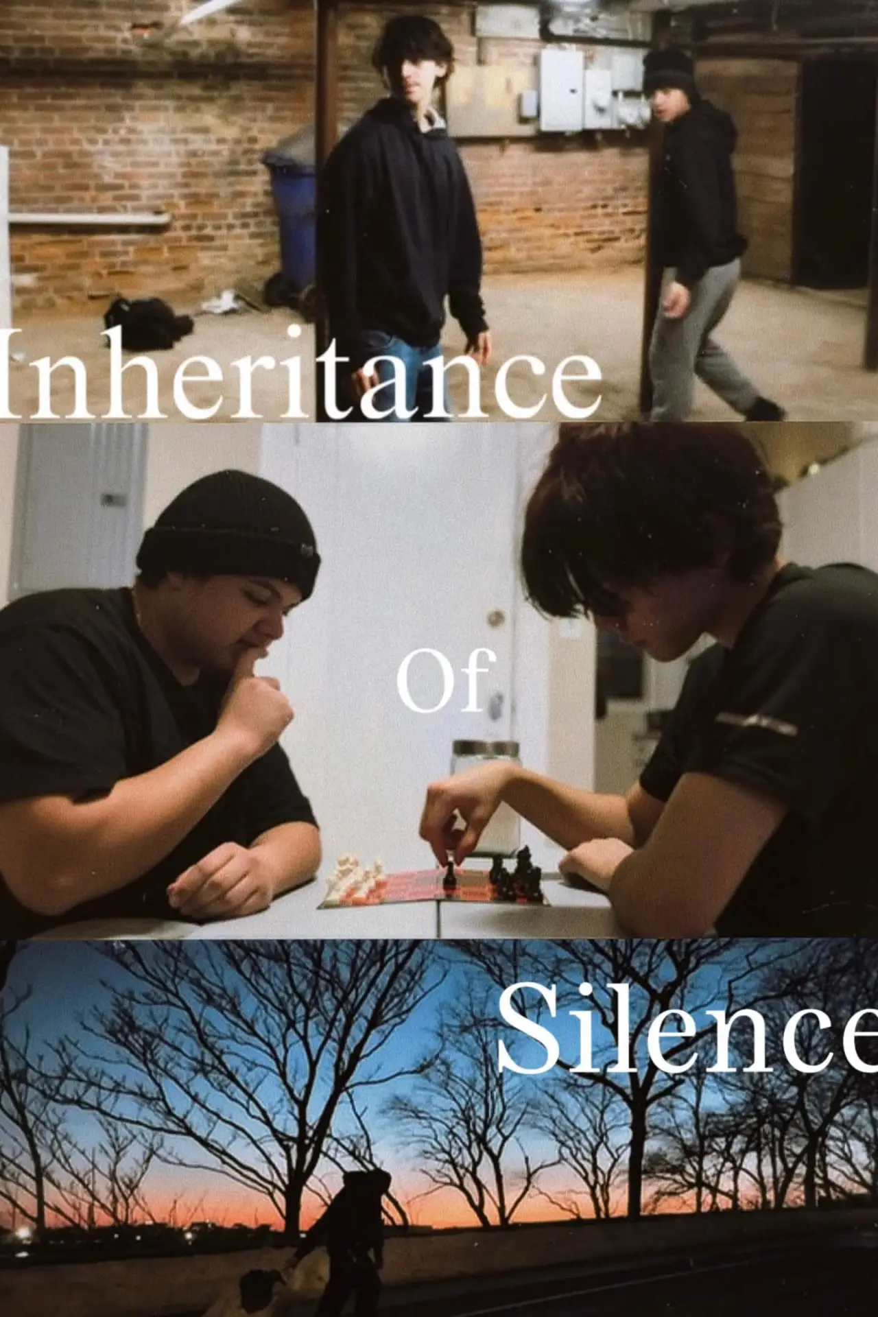 Movie poster "Inheritance Of Silence"