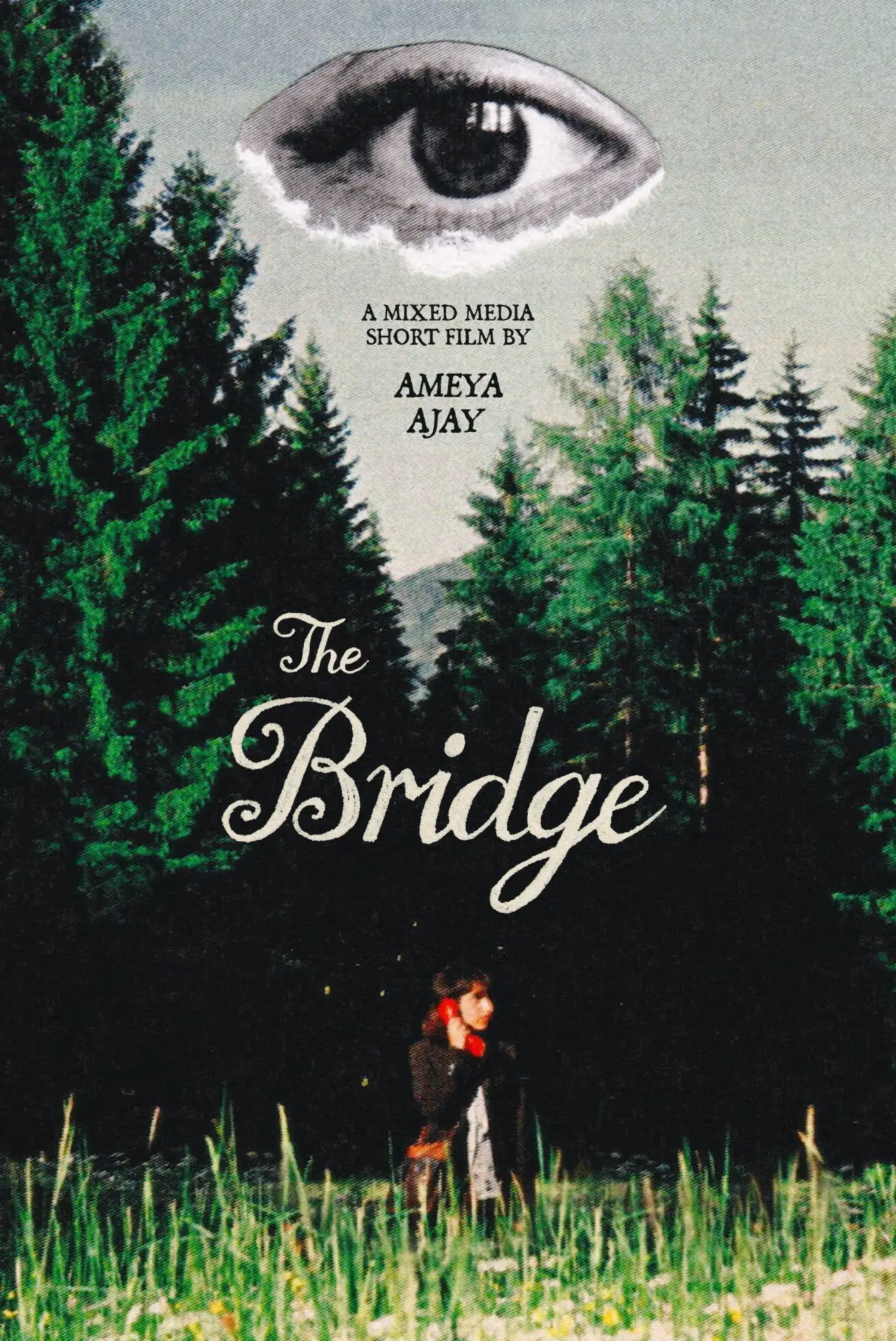 Movie poster "The Bridge"