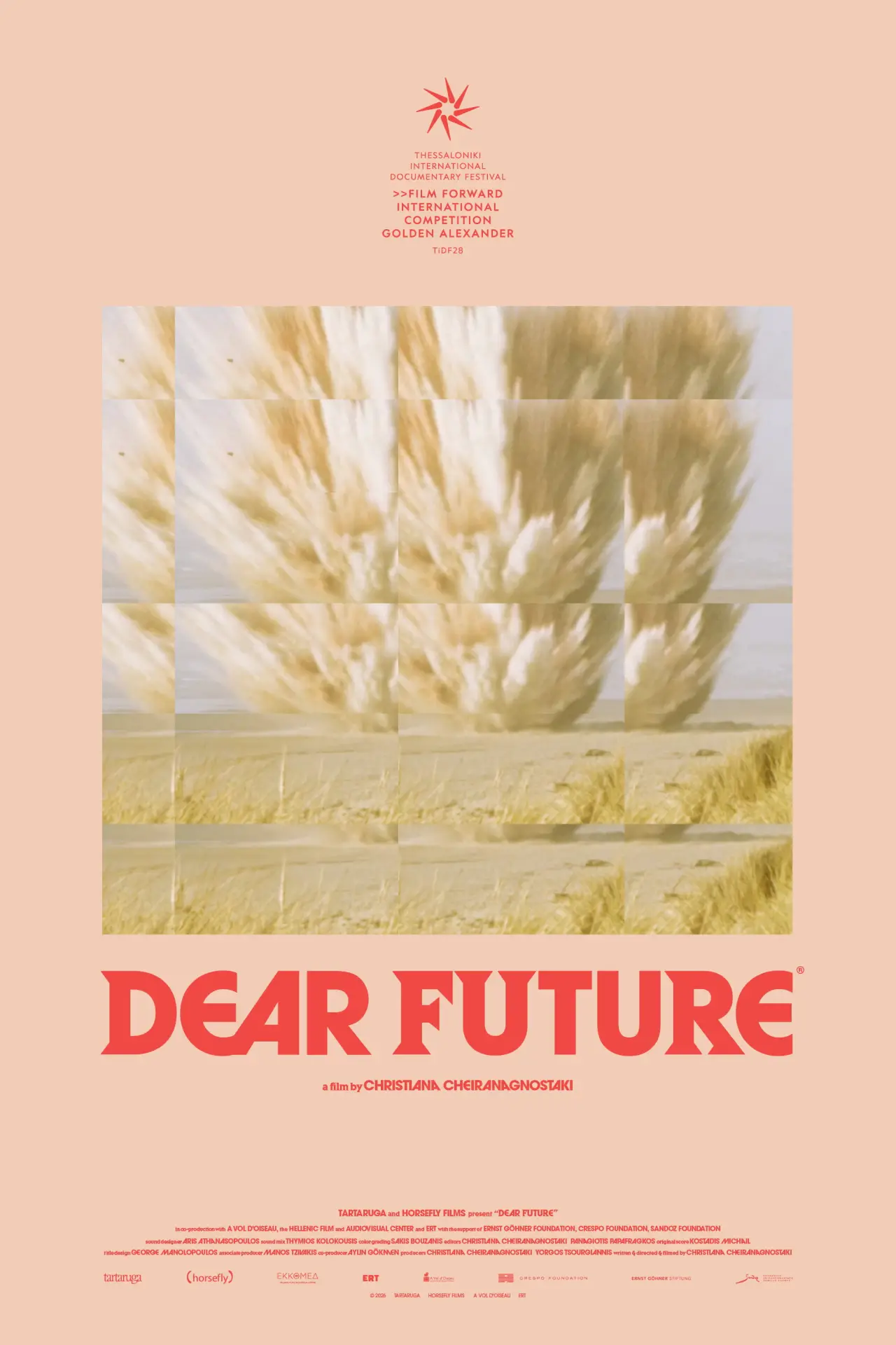 Movie poster "Dear Future"