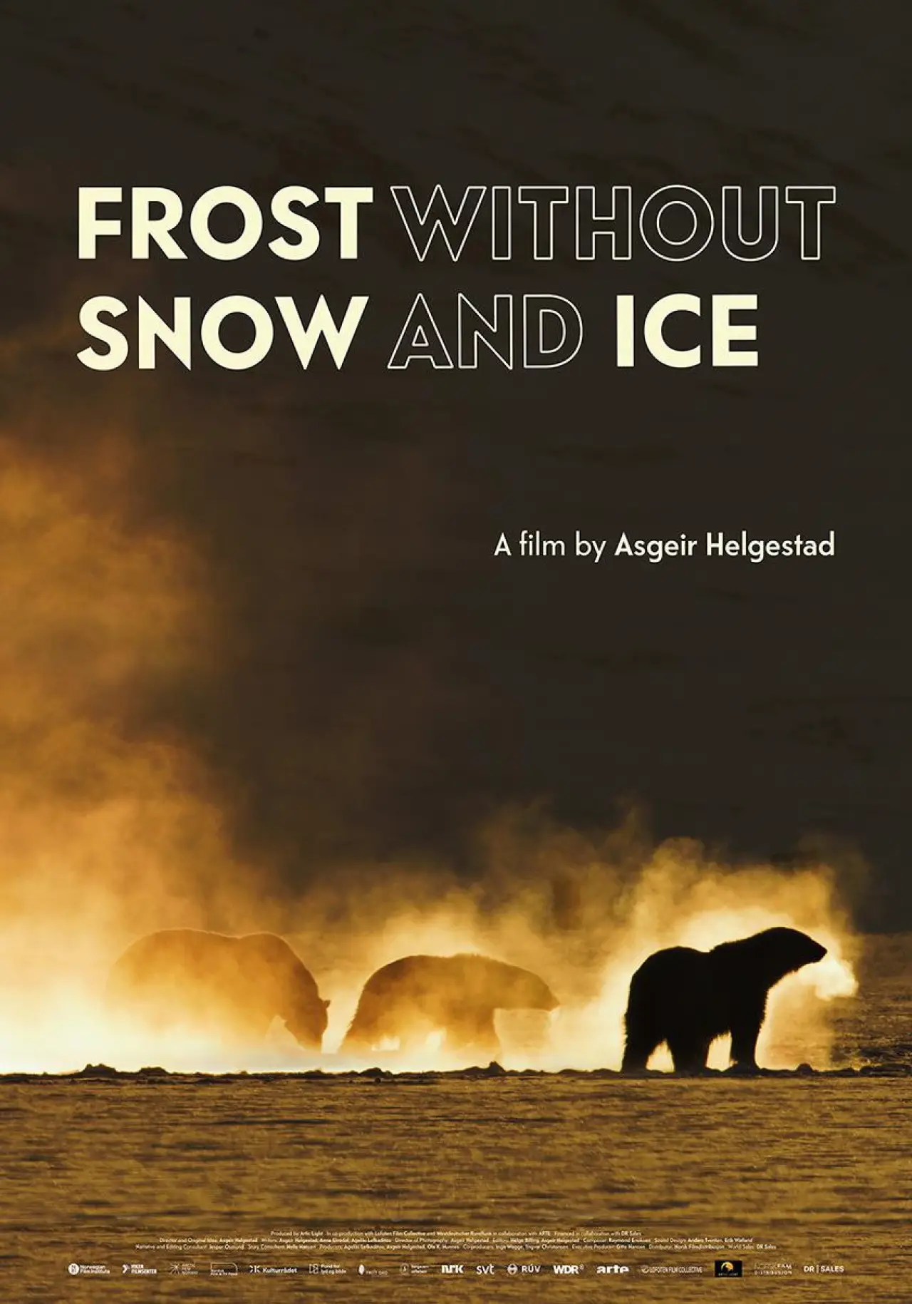 Movie poster "Frost Without Snow and Ice"