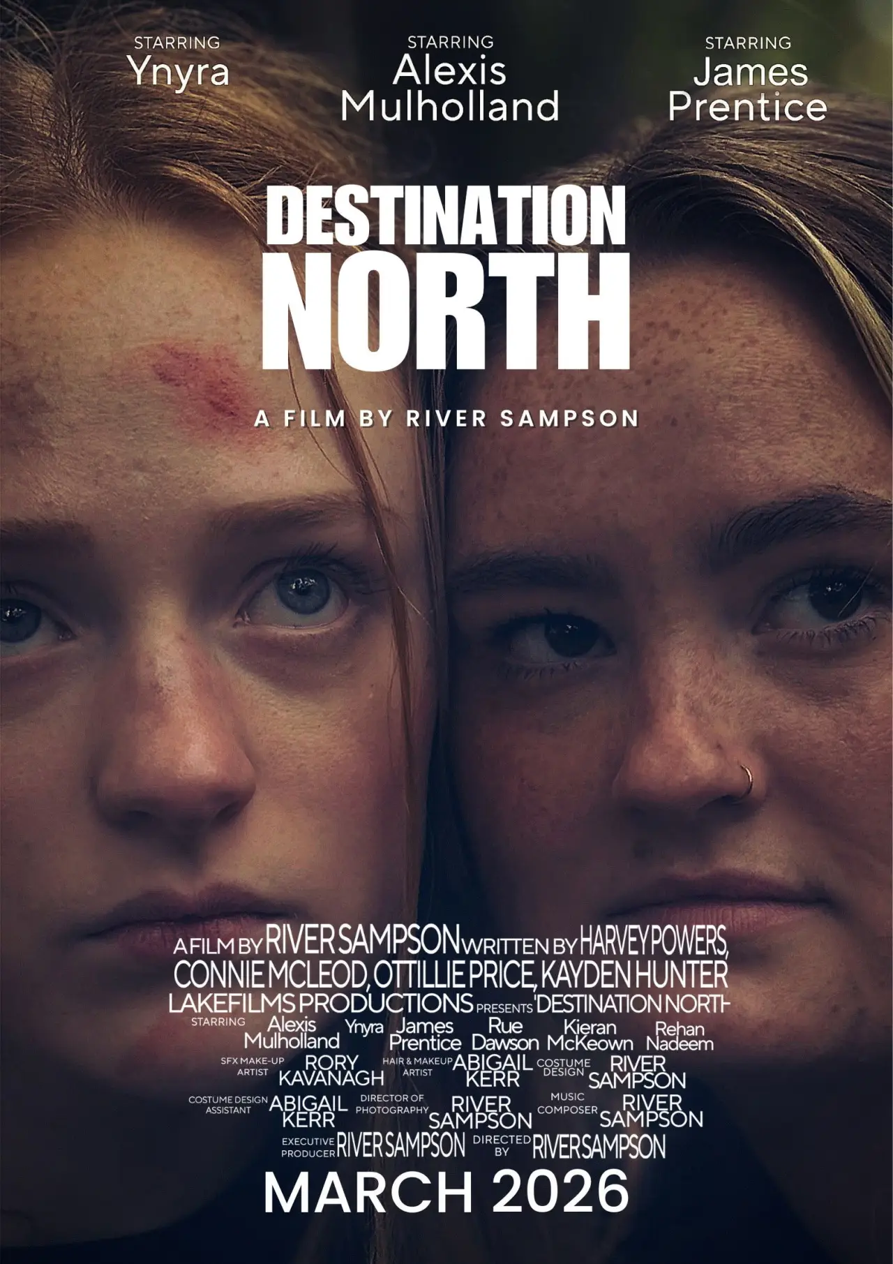 Movie poster "Destination North"