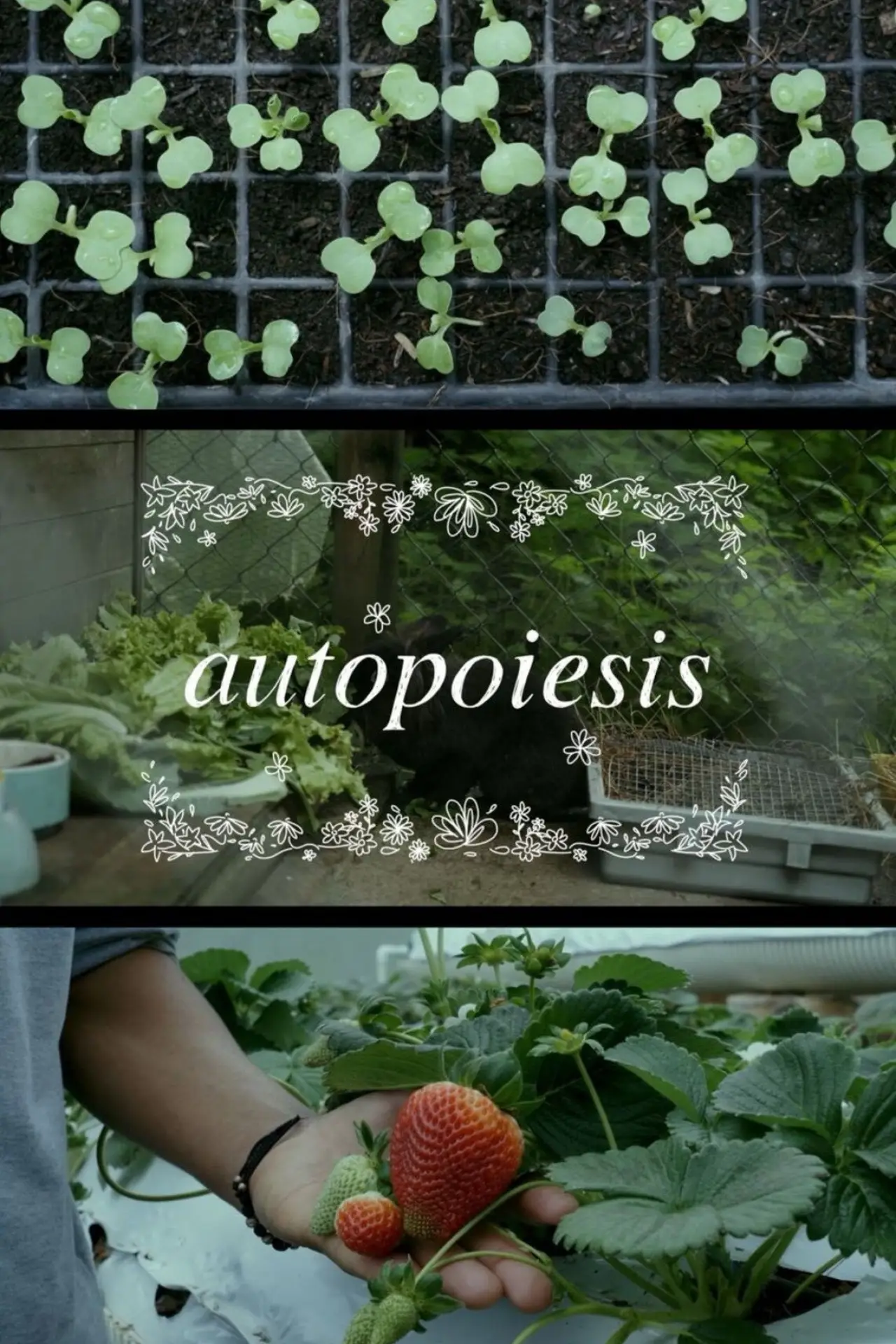 Movie poster "Autopoiesis"