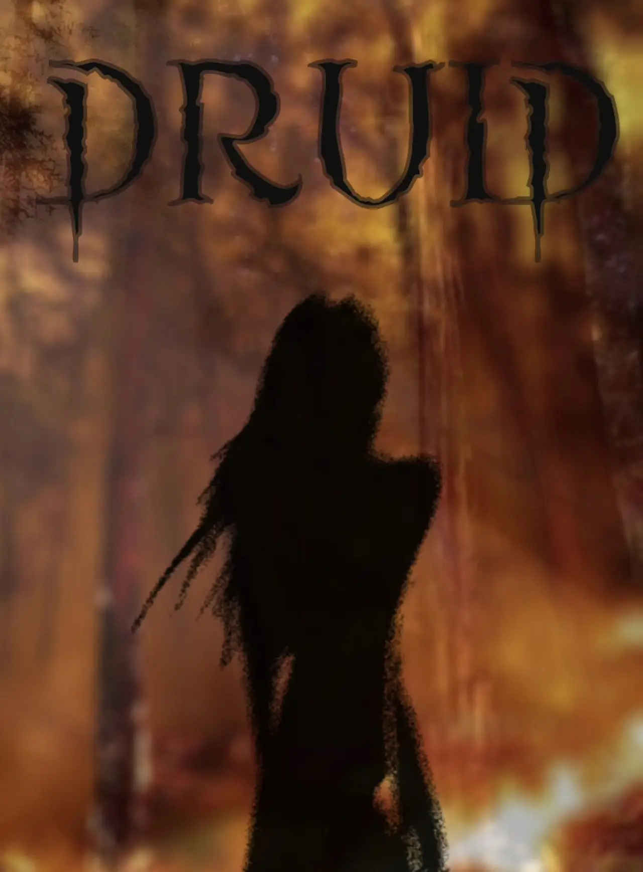 Movie poster "DRUID"