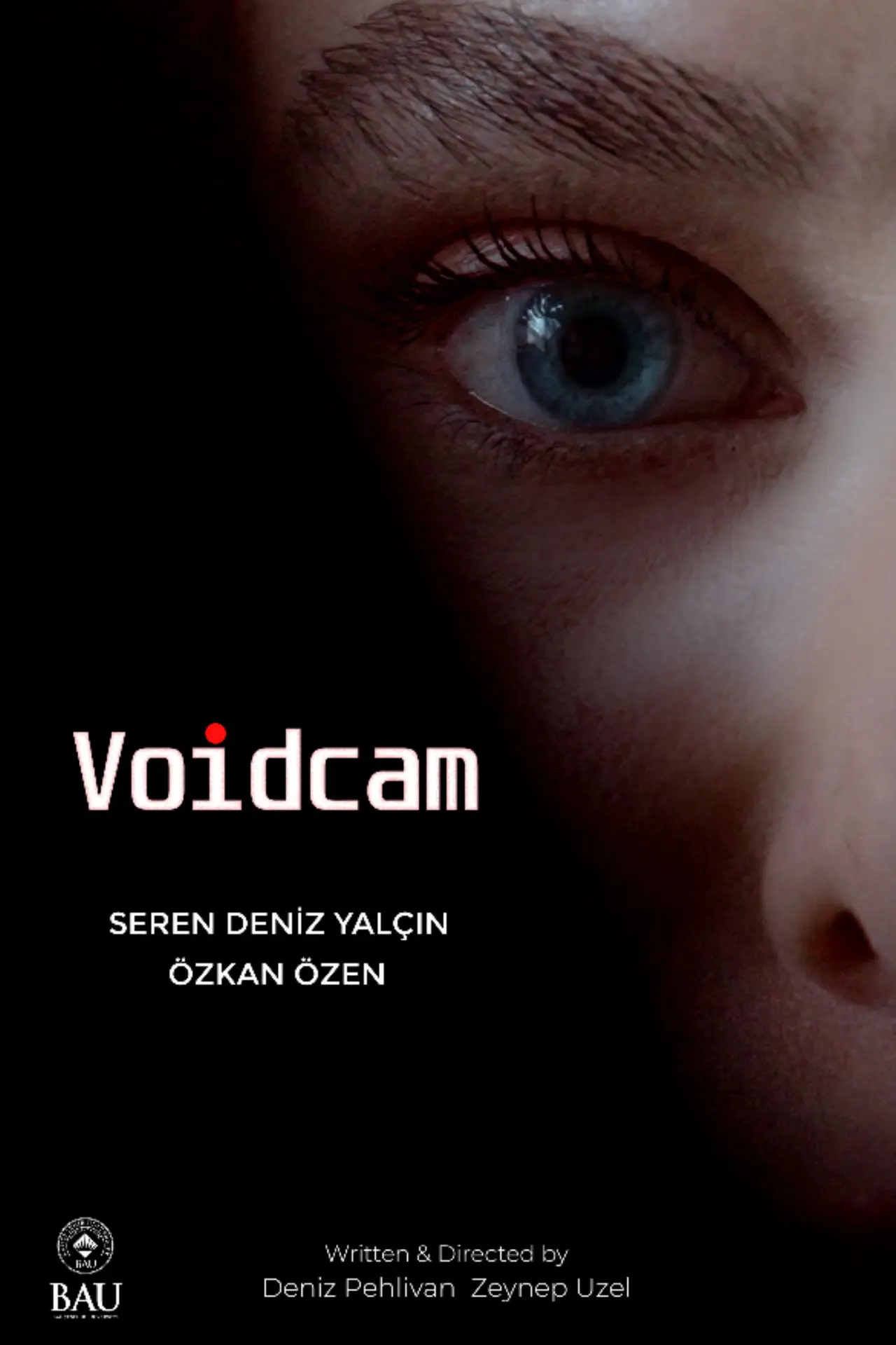 Movie poster "Voidcam"