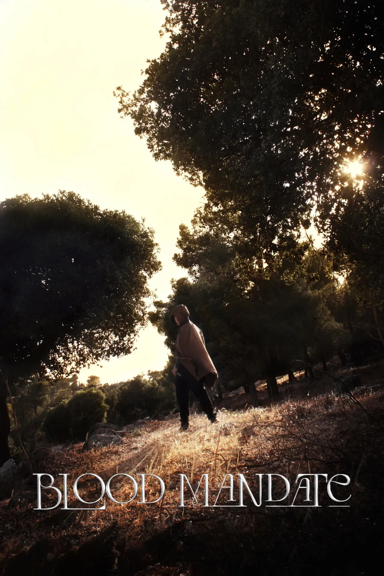 Movie poster "Blood Mandate"