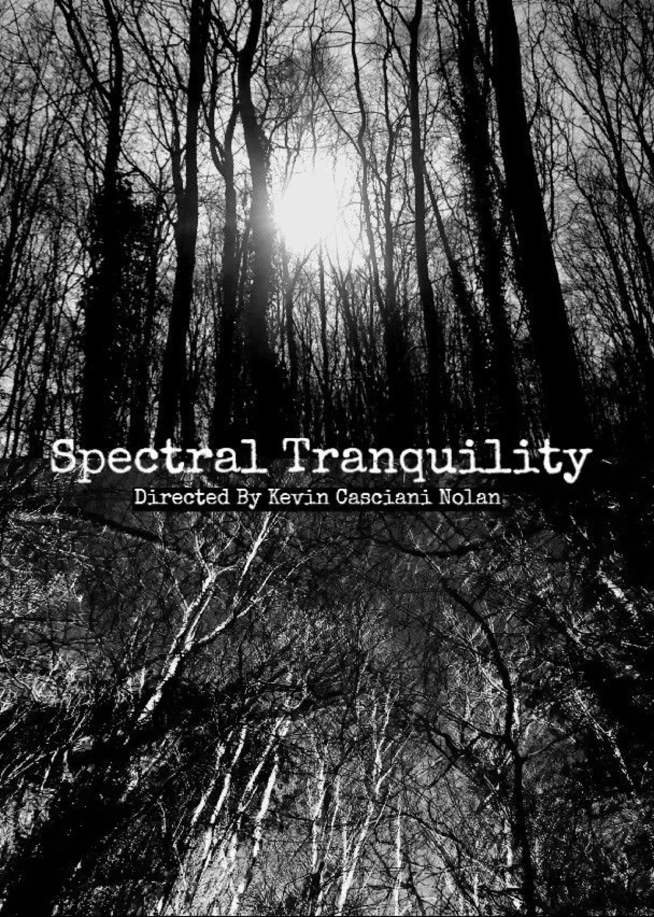 Movie poster "Spectral Tranquility"