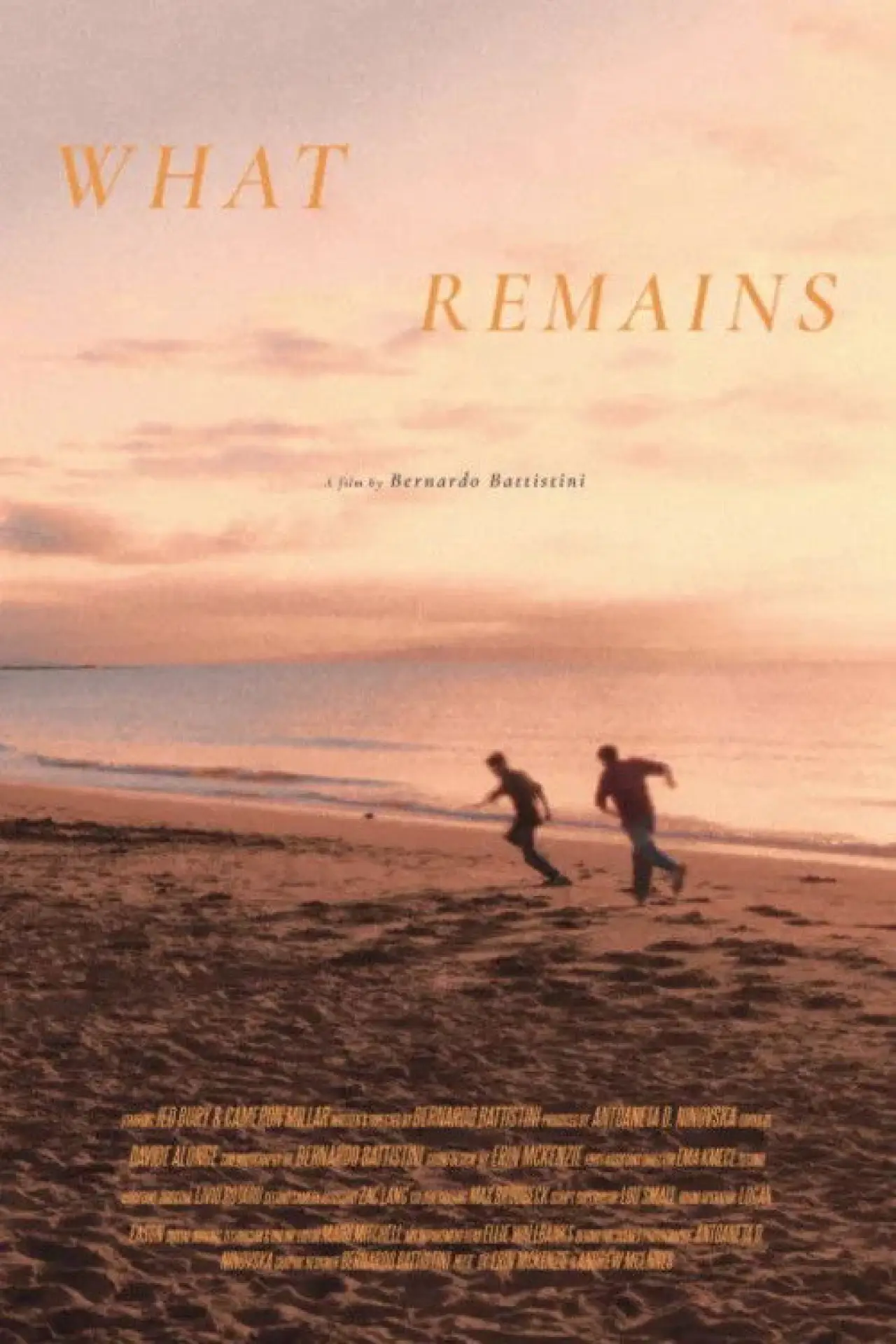 Movie poster "What Remains"