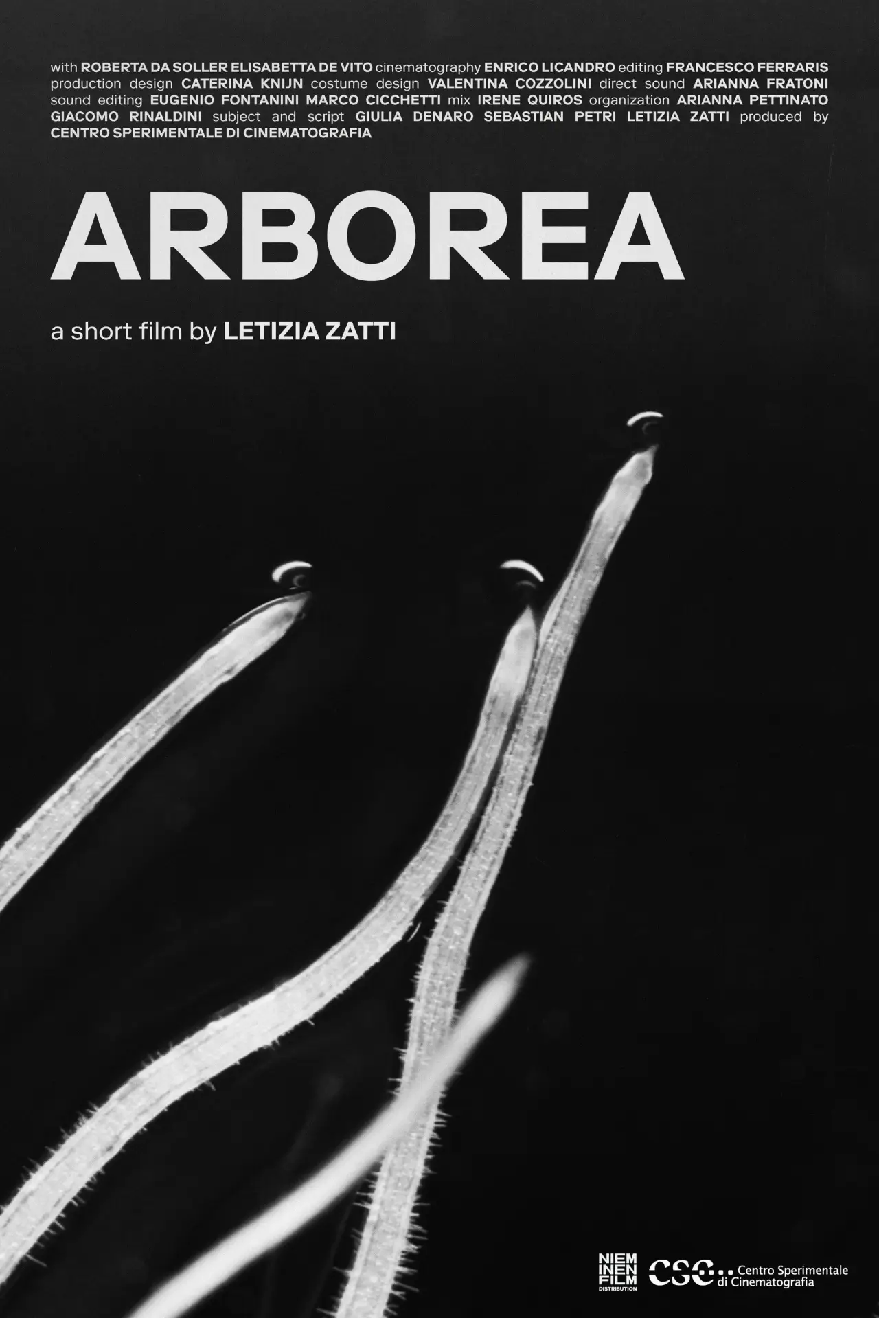 Movie poster "Arborea"