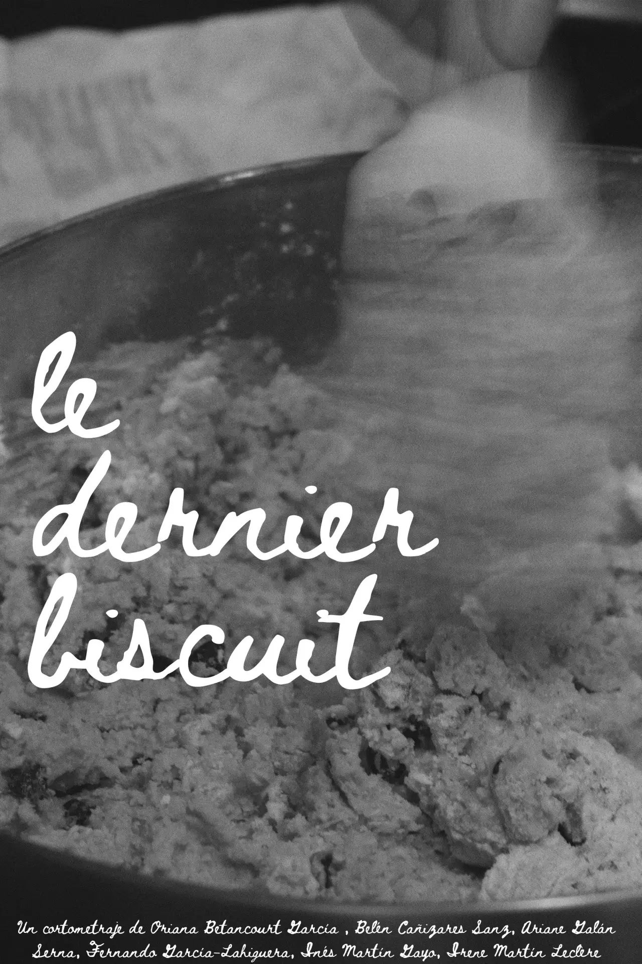 Movie poster "Le Dernier Biscuit"