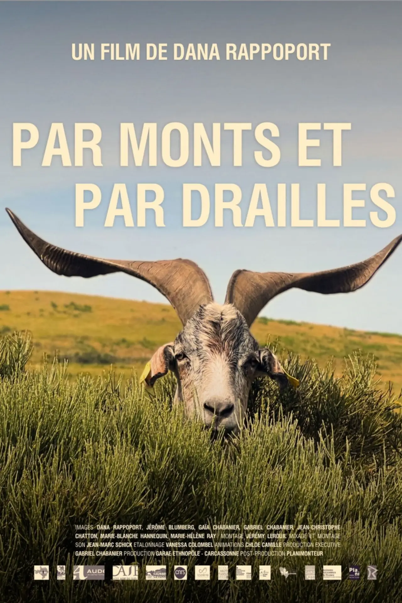 Movie poster "Par monts et par drailles"
