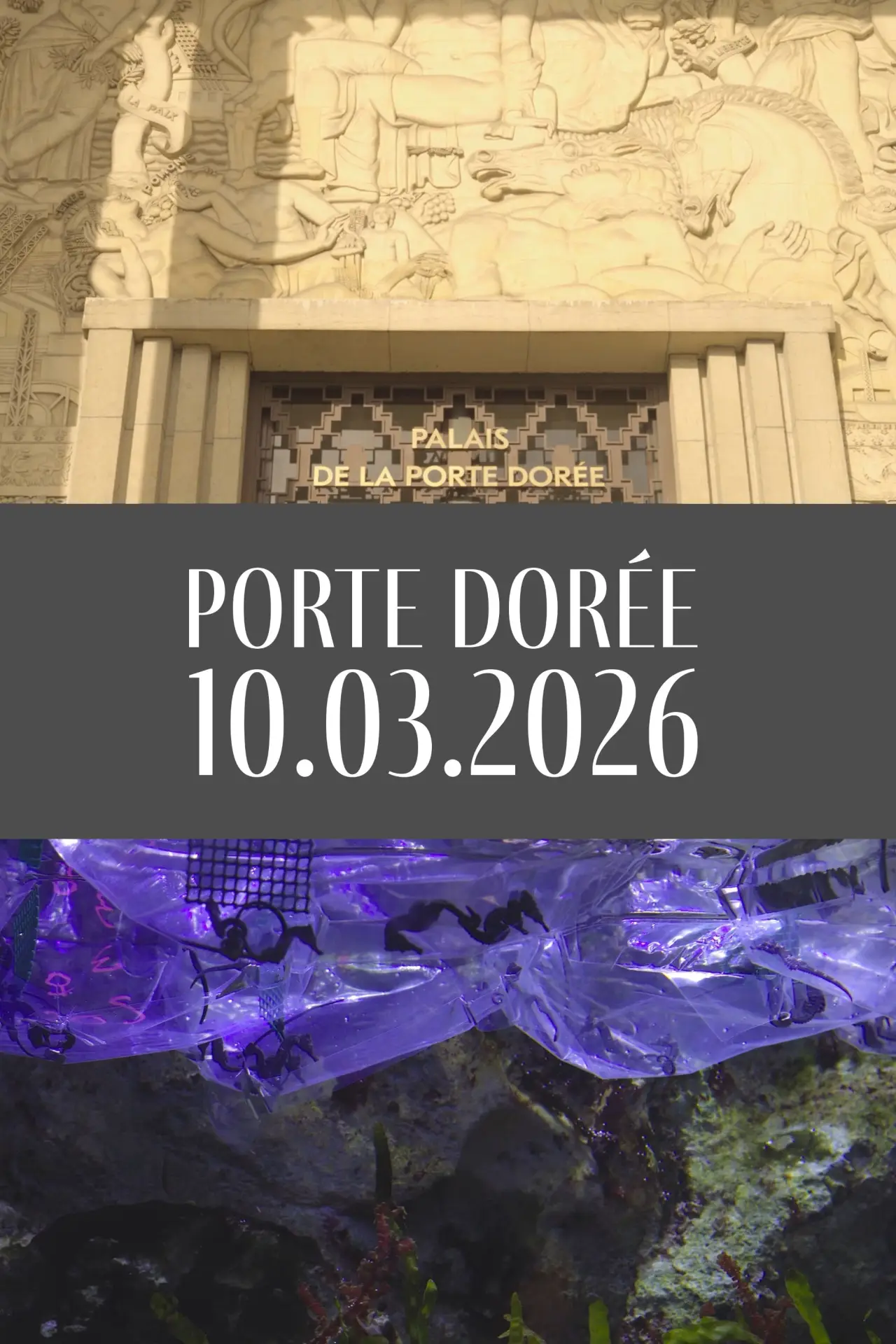 Movie poster "Porte Dorée 10.03.2026"