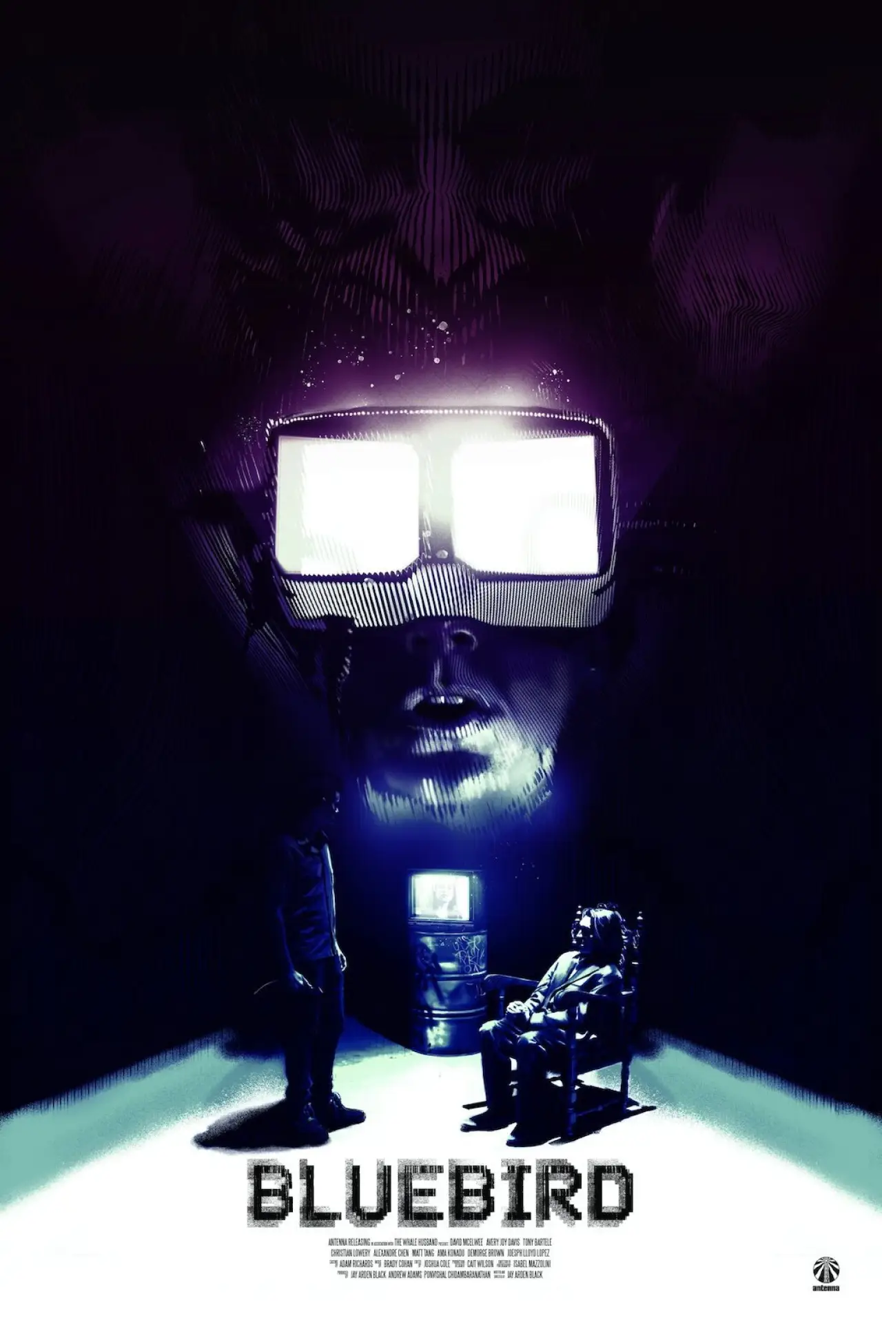 Movie poster "Bluebird"