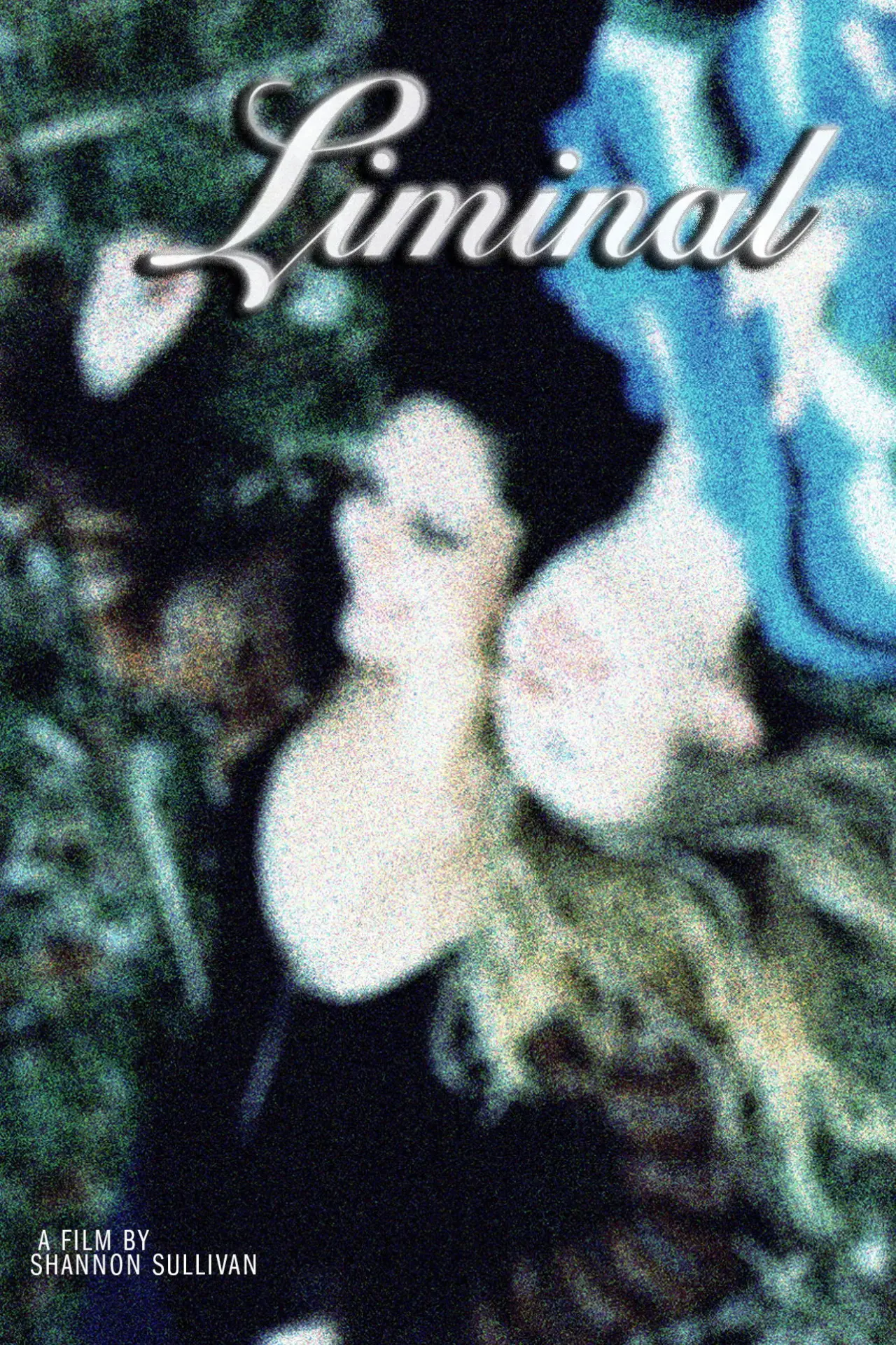 Movie poster "Liminal"