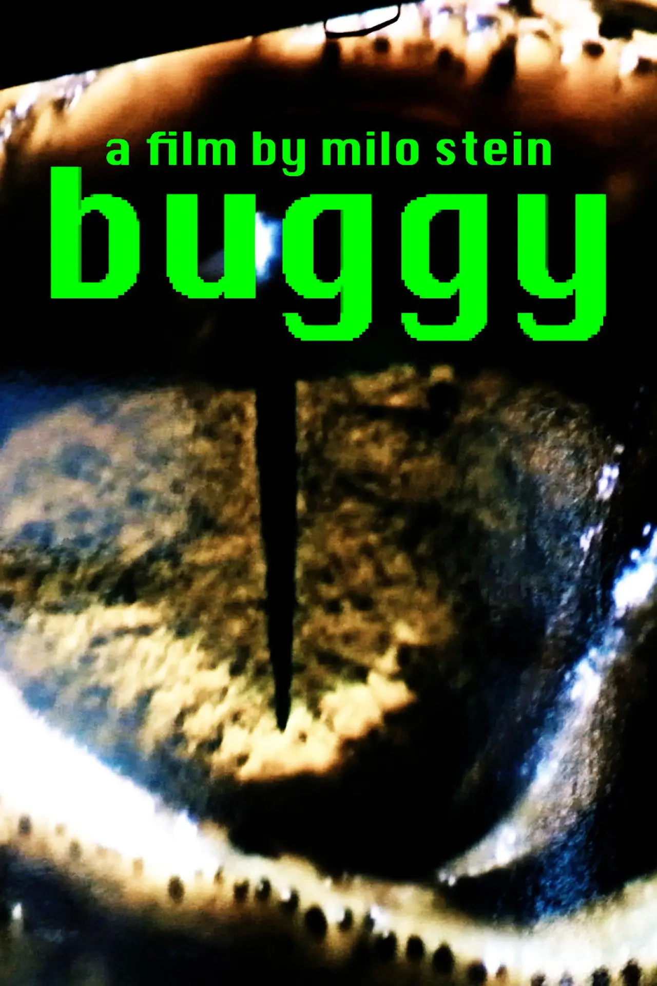 Movie poster "buggy"