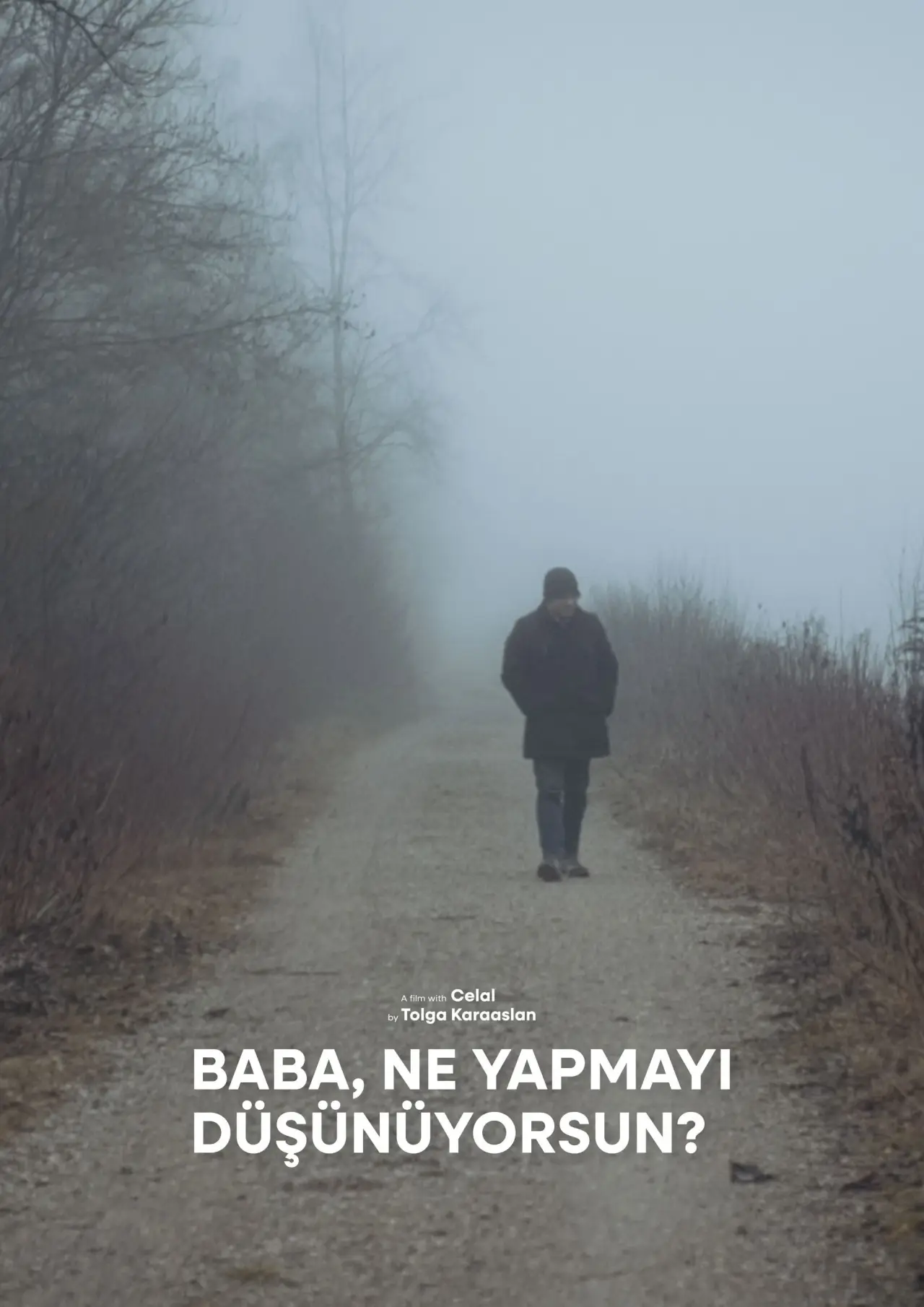 Movie poster "Baba, What